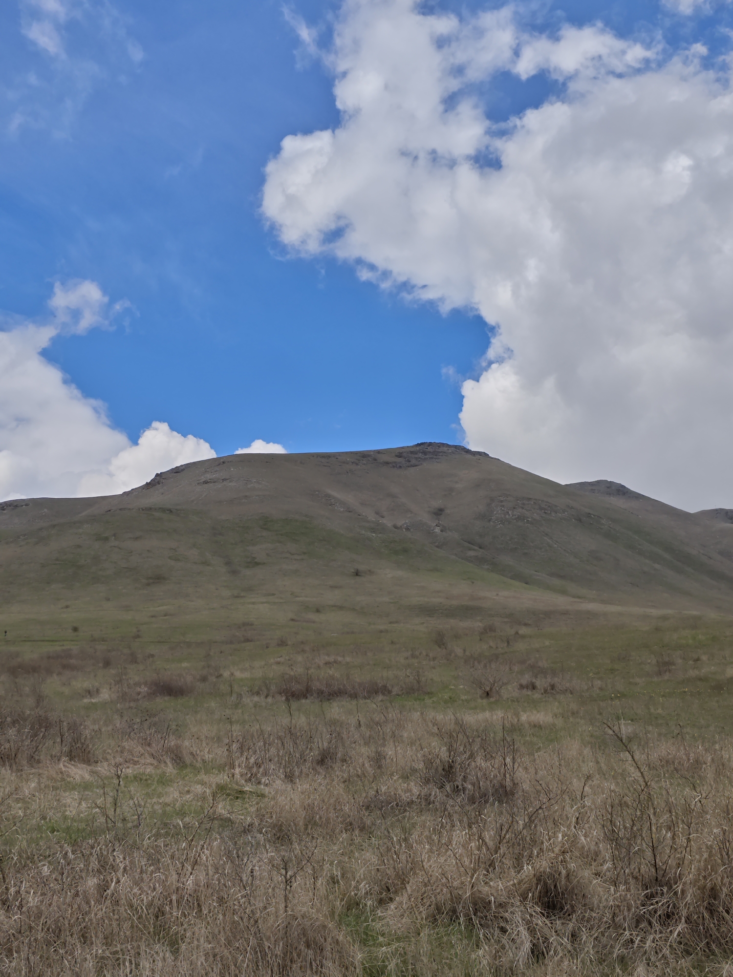 The image depicts a rural landscape in Etoka, Russia. A gently sloping, grassy hill dominates the scene, with a rocky peak visible at the top. The foreground is filled with dry, brown grasses and low scrub vegetation. In the background, the sky is partly cloudy, with patches of blue sky interspersed with large, white clouds. There are no people or other distinct subjects visible.