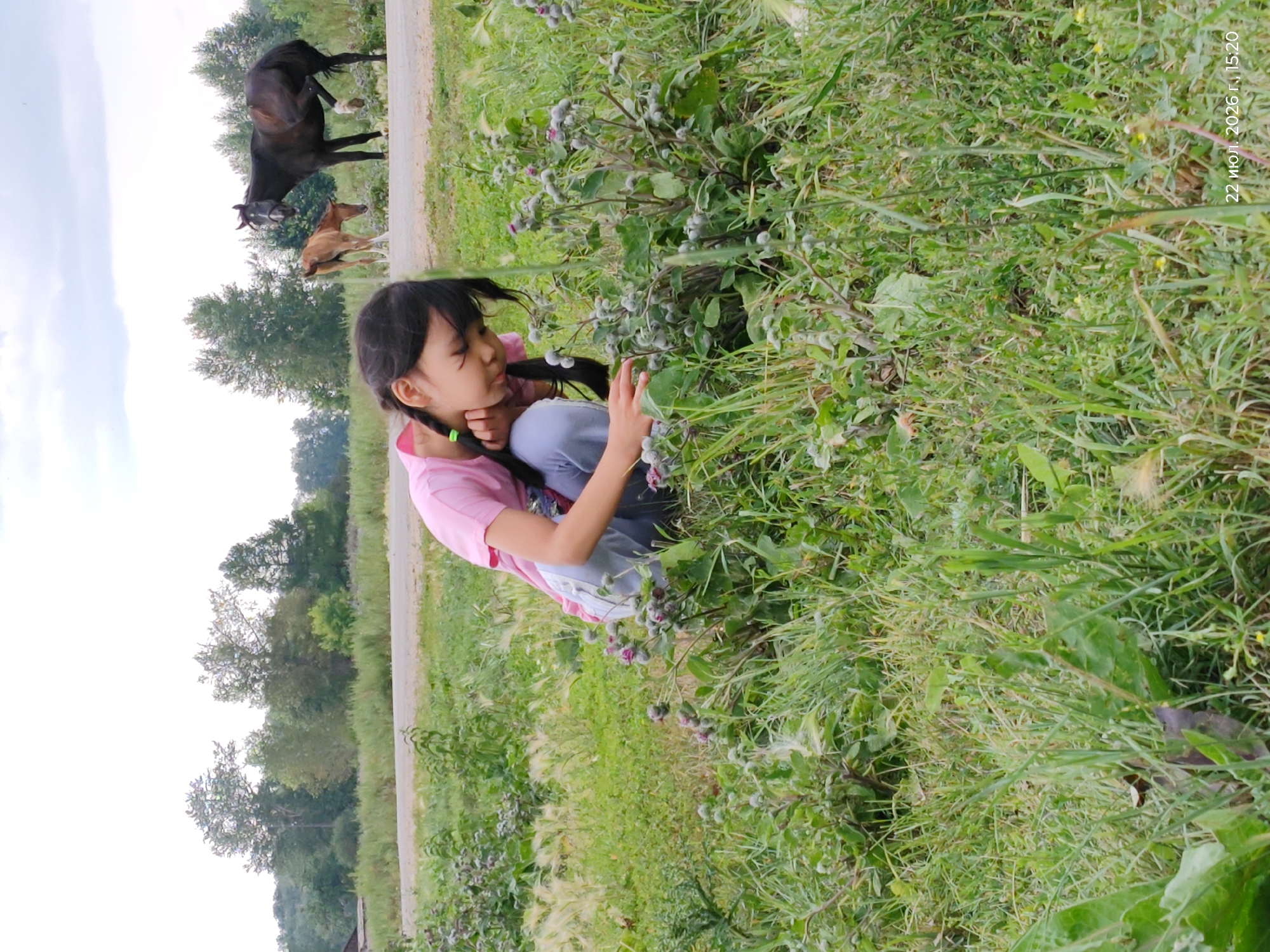 In a grassy outdoor scene, a young girl with dark braided hair and green hair ties is crouched, wearing a pink t-shirt and blue pants. She is looking down at a patch of thistle plants. In the background, two horses are standing on a dirt road, one adult dark brown horse and a smaller brown foal. Trees and a cloudy sky are visible behind the horses. The lower right corner of the image contains a timestamp: "22 июля 2026 г., 15:20". The location is stated as Viktorevka, Kazakhstan.
