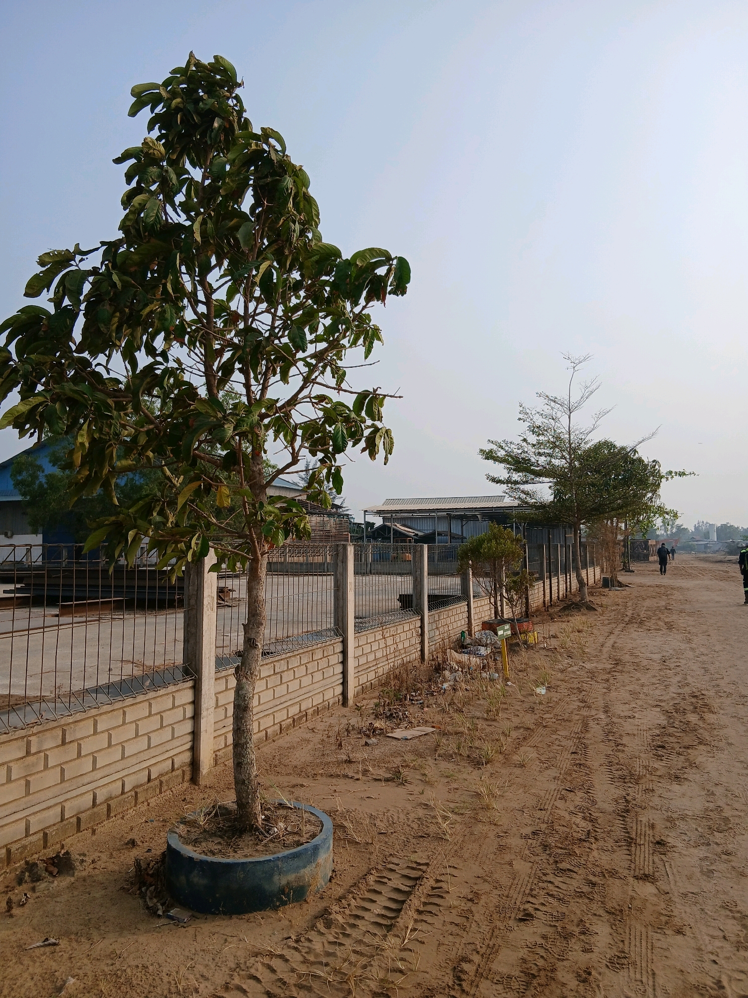 This image depicts a dirt road adjacent to a fenced industrial area in Pangkalpinang, Indonesia. A prominent tree in a blue planter is in the foreground. The fence is constructed of concrete pillars and a beige brick base, topped with a metal wire mesh. Beyond the fence, industrial buildings with metal roofs are visible, along with stacked materials. The dirt road shows tire tracks, indicating vehicle activity. Several individuals are walking away from the viewer down the road in the distance, dressed in casual attire and what appears to be work uniforms. The sky is overcast and pale.