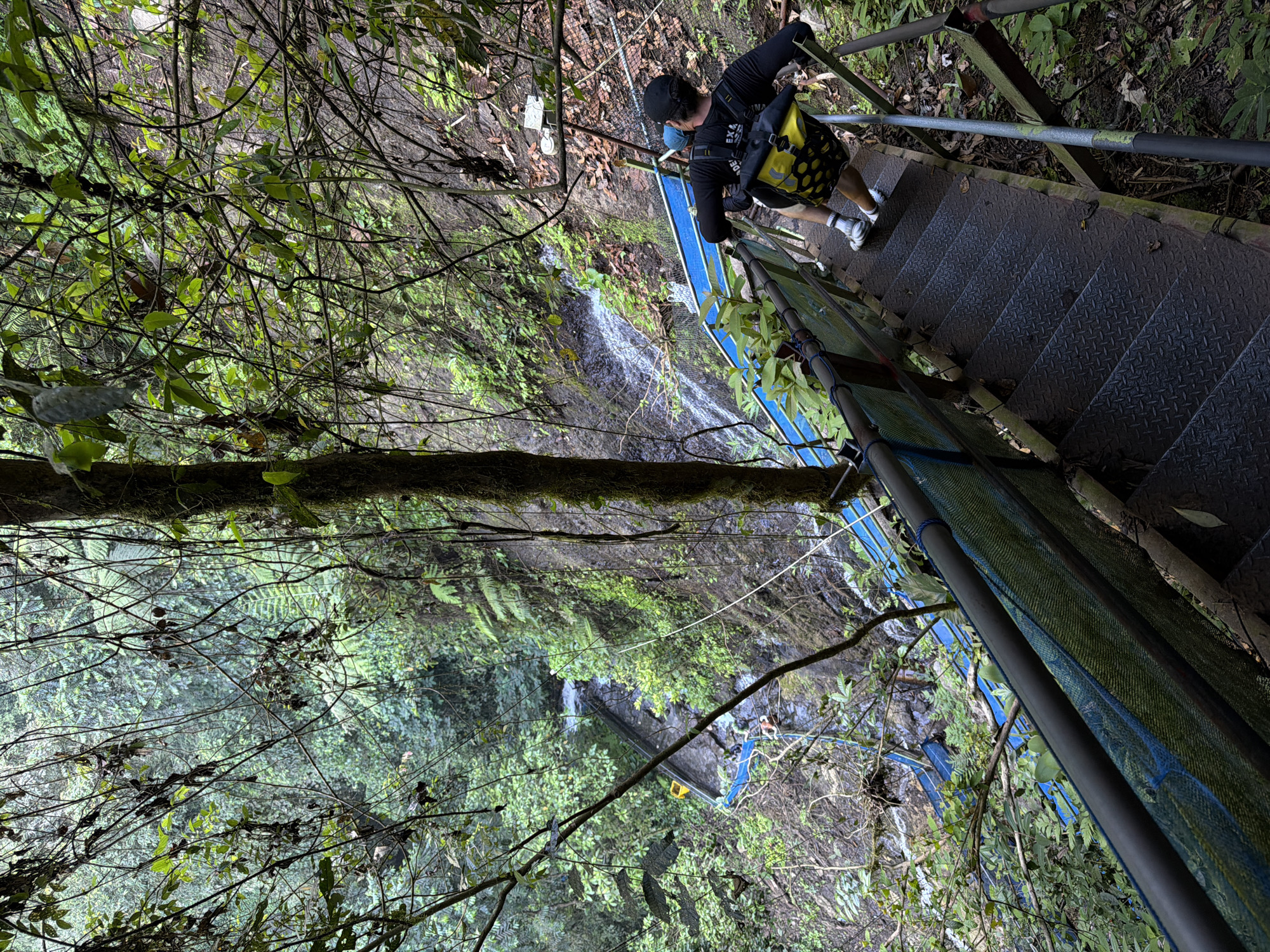The image depicts a person descending a metal staircase in a lush, jungle-like environment. The staircase is positioned alongside a steep, verdant slope with a small waterfall cascading down the rocks. The stairs are made of diamond plate metal, with metal railings on either side. A blue mesh netting is attached to the railing on the left side of the stairs, and this netting extends to enclose a pathway below. The person descending the stairs is wearing a black long-sleeved shirt, shorts, a baseball cap, and a yellow and black backpack. The vegetation is dense, with various shades of green foliage, vines, and trees. The scene suggests an outdoor adventure or hiking location, potentially a tourist attraction or a natural trail. The specific location in Sidomulyo, Indonesia is not visually identifiable from the image itself, but the environment is consistent with tropical rainforests found in the region.