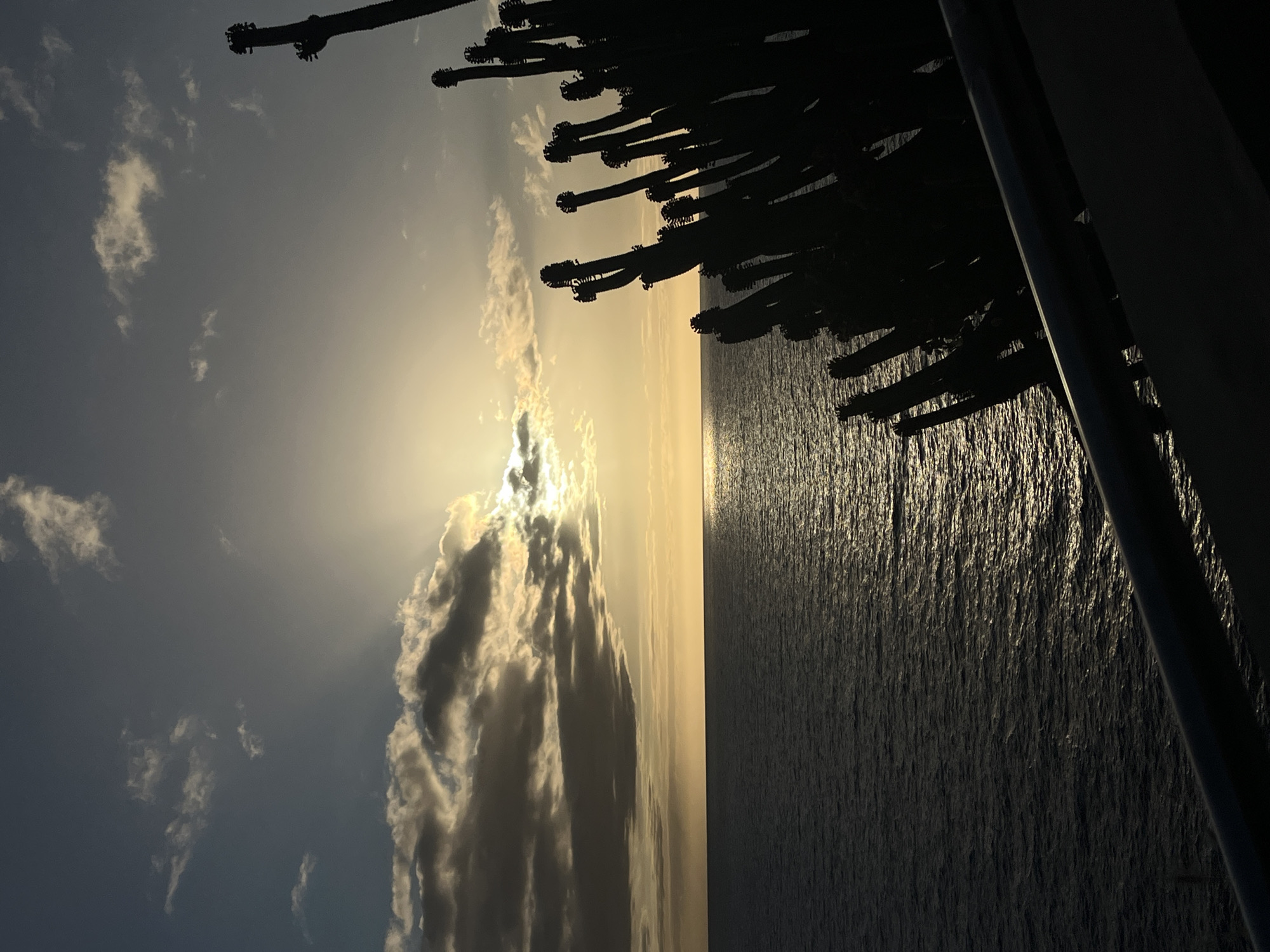 A partially obscured sun shines from behind clouds in the sky above a body of water. Dark silhouetted cacti line the top right edge of the image. Part of a dark, vertical structure is visible in the lower right corner of the image. The location is possibly Mogán, Spain, given the presence of cacti and the coastal setting.