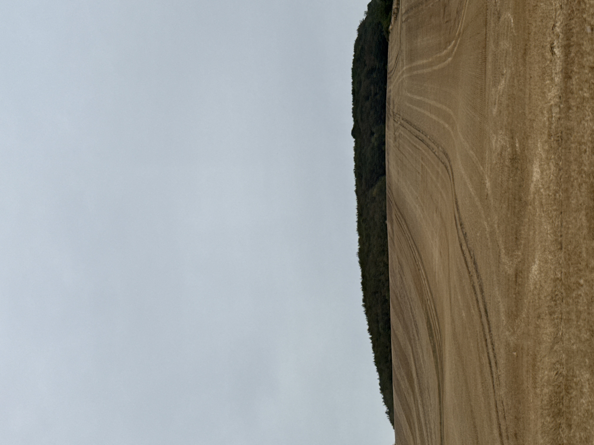 This image depicts a wide, barren field in a rural area, likely outside of the city of Ellrich, Germany. The field is characterized by rows of stubble, indicating it has recently been harvested. Tire tracks from agricultural machinery are clearly visible, creating a pattern across the landscape. In the background, a dense line of trees forms a dark horizon against the overcast sky. The overall impression is one of open space and agricultural activity under a muted, cloudy atmosphere.