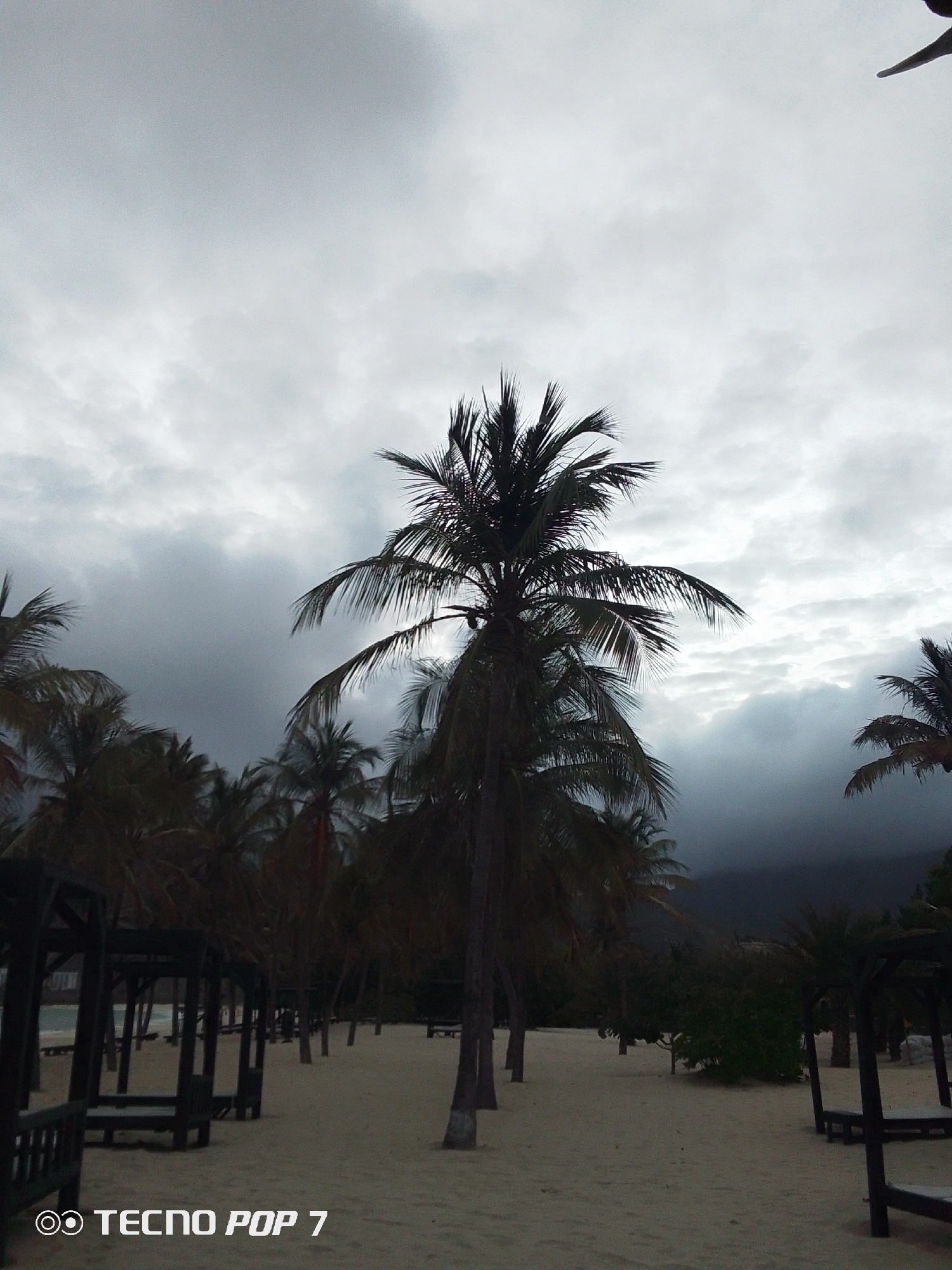 The image displays an overcast coastal scene in Pedro González, Venezuela. A dense, gray cloud cover dominates the sky, with darker cloud formations present over distant mountainous terrain on the right. The foreground and midground consist of a sandy beach. Numerous tall palm trees, primarily appearing as dark silhouettes, are dispersed across the sand. Several dark-colored, open-sided wooden structures, resembling cabanas or shelters equipped with benches, are spaced along the left and right sides of the beach. A narrow stretch of calm water is visible on the far left. No individuals or active subjects are discernible within the frame. The scene is characterized by dim, diffused lighting consistent with the heavy cloud cover. A "TECNO POP 7" watermark is present at the bottom left of the image.