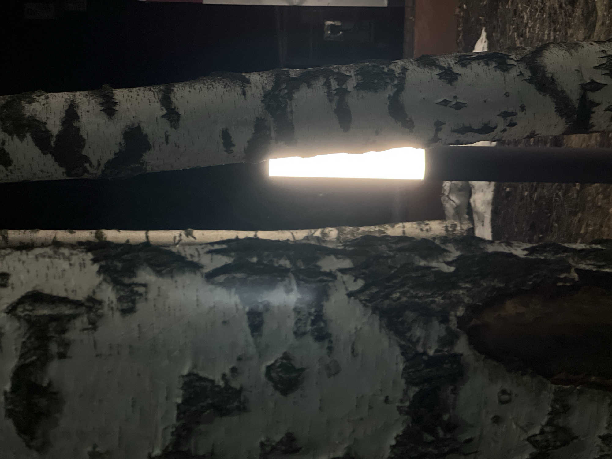 A close-up, low-angle shot captures two birch logs positioned horizontally, framing a rectangular source of light between them. A black metal pipe bisects the light. The logs exhibit the characteristic white bark with dark markings of birch trees. The bark on the lower log appears more deteriorated, with some areas peeling or missing. The light source casts a glow on the bark surfaces. The background is out of focus, appearing dark and textured. The image was taken in the city of Chaikovsky, Russia.