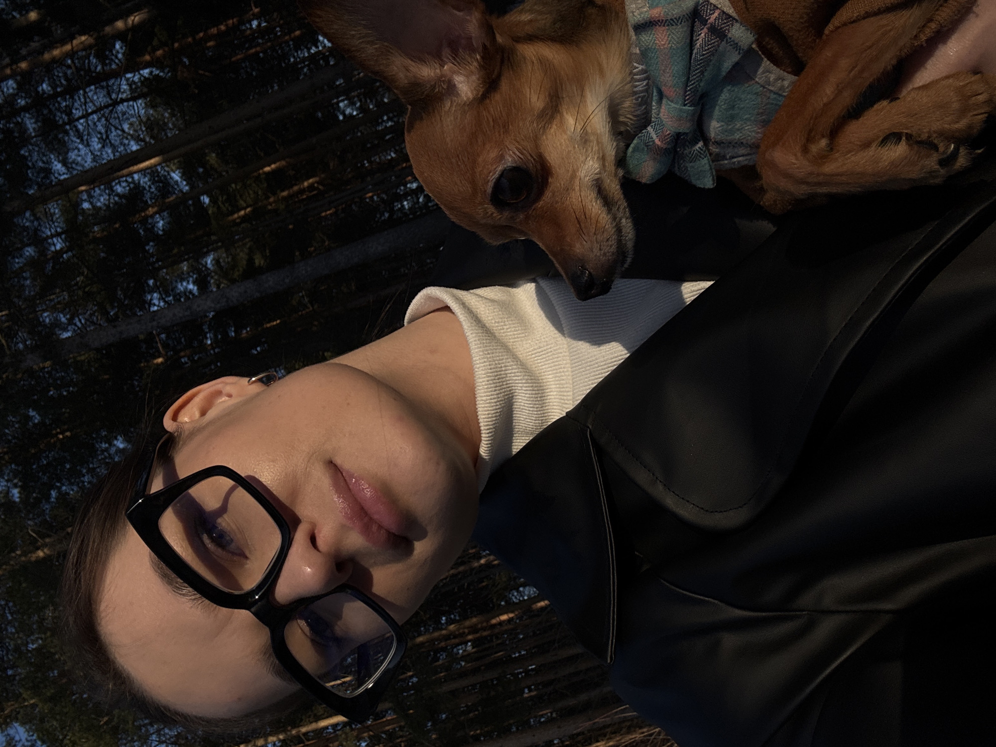 A female subject, appearing to be an adult, is depicted in a close-up selfie shot within a coniferous forest, identified as being in the city of Chaikovsky, Russia. She wears a white ribbed turtleneck under a black leather or faux leather jacket and large, black-framed eyeglasses. Her hair is dark and pulled back. She is holding a small, reddish-brown dog, possibly a Chihuahua, which is wearing a blue and white patterned bow tie. The dog faces towards the right of the frame, away from the camera. The scene is illuminated by strong, warm, low-angle sunlight, indicating either sunrise or sunset, with the background forest appearing darker due to shadows. The woman's face and the dog are partially lit by this natural light.
