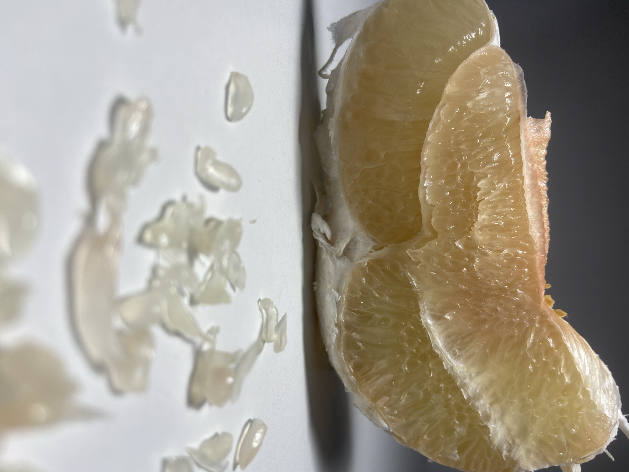 A close-up image depicts a peeled segment of a pomelo, resting on a flat, white surface in Budva, Montenegro. The fruit segment exhibits a pale yellow to light orange hue, with visible translucent pulp vesicles. Remnants of white pith adhere to the segment's base and edges. Scattered in the blurred foreground are multiple small, irregular fragments of white material, consistent with fruit pith or broken pulp. The background is a dark, out-of-focus plane. Illumination highlights the fruit's textured surface, casting subtle shadows beneath it. No individuals or active interactions are present within the scene.