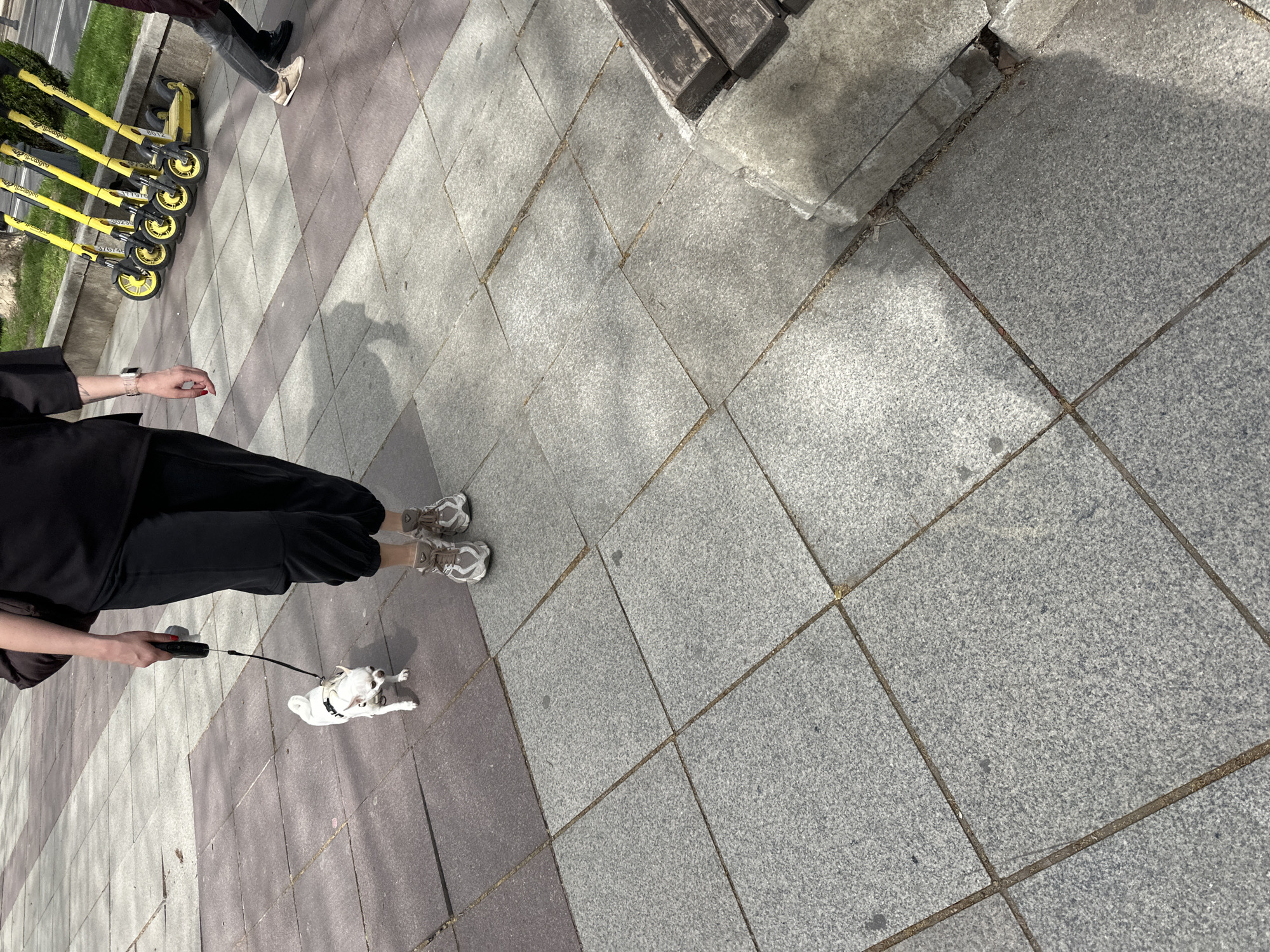 The image, shot from above and slightly angled, depicts a person walking a small white dog on a leash on a paved surface, possibly a sidewalk or plaza. The paving is made of large, square tiles of varying shades of gray and brown. A woman wearing black clothes and tan sneakers holds the black leash, while the small white dog lies on its side. A row of yellow electric scooters are aligned along the left edge of the image. A portion of a bench is visible in the upper right corner. Another person's legs and feet are seen near the scooters. The location is consistent with an urban setting in Tbilisi, Georgia, given the style of paving and the scooters.