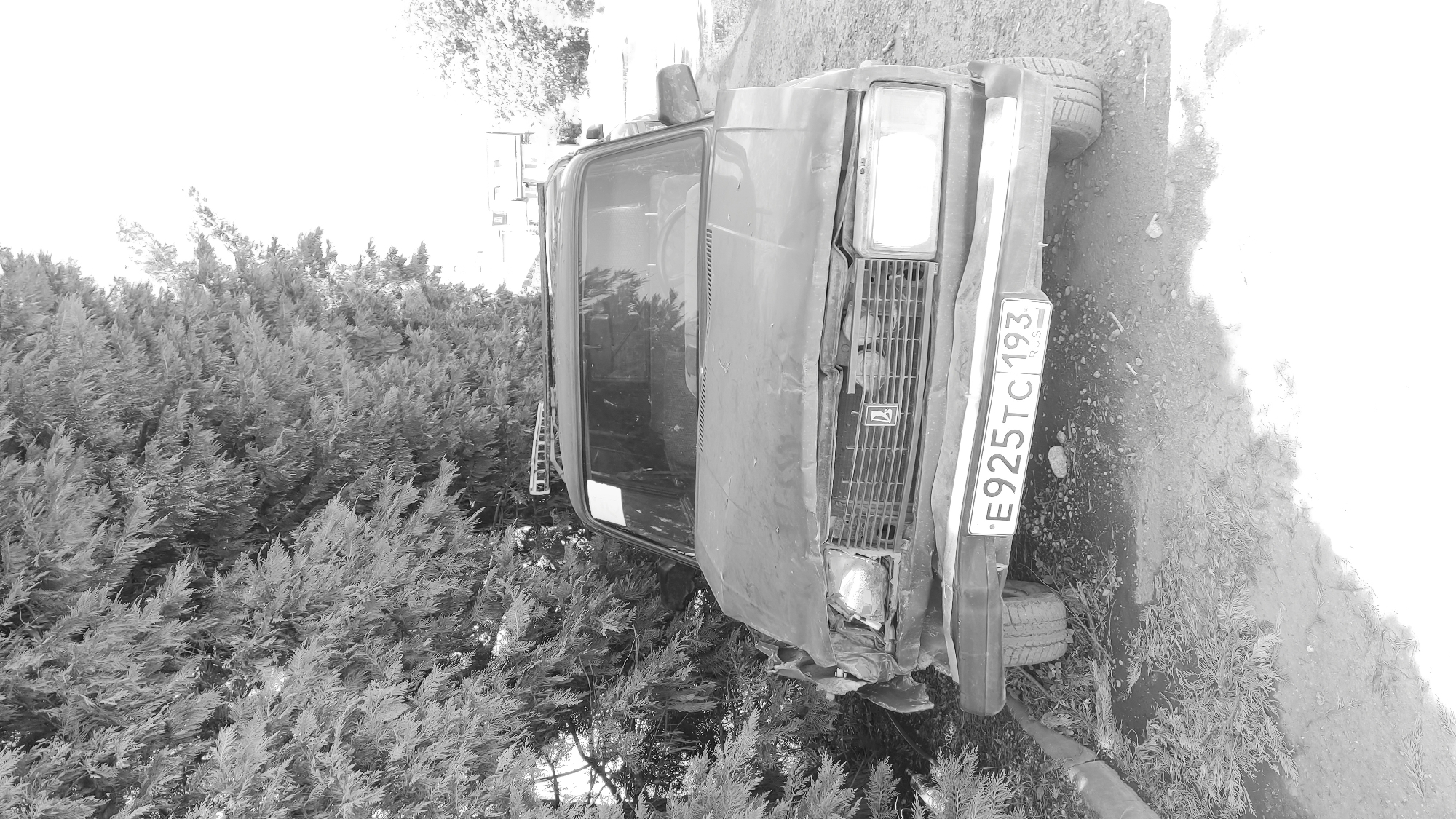 The horizontally oriented, black and white image depicts a stationary, heavily damaged car parked outdoors next to a dense line of conifer-like trees or bushes. The car, an older model, likely a Lada identifiable by the logo on its front grille, is dark-toned. Its front right headlight is missing or smashed, and the front bumper and grille exhibit substantial damage.
The vehicle is situated on a patch of ground composed of dirt or gravel, interspersed with some sparse plant growth. To the left of the car, a thick barrier of evergreen foliage fills a significant portion of the background. In the upper right corner, a light-colored building with several windows is partially visible in the distance.
No specific activity is occurring; the car appears to be parked, possibly abandoned or left after an accident, indicated by its damaged state. The scene is illuminated by bright, diffused daylight, as suggested by the overexposed areas of the sky and parts of the ground, and the absence of harsh shadows. The overall impression is one of a vehicle in disrepair in a natural or semi-rural setting.
The visible text on the front license plate reads "E925TC 193 RUS". The "RUS" denotes Russia, and "193" is a regional code, aligning with the provided location context of Krasnodar, Russia.