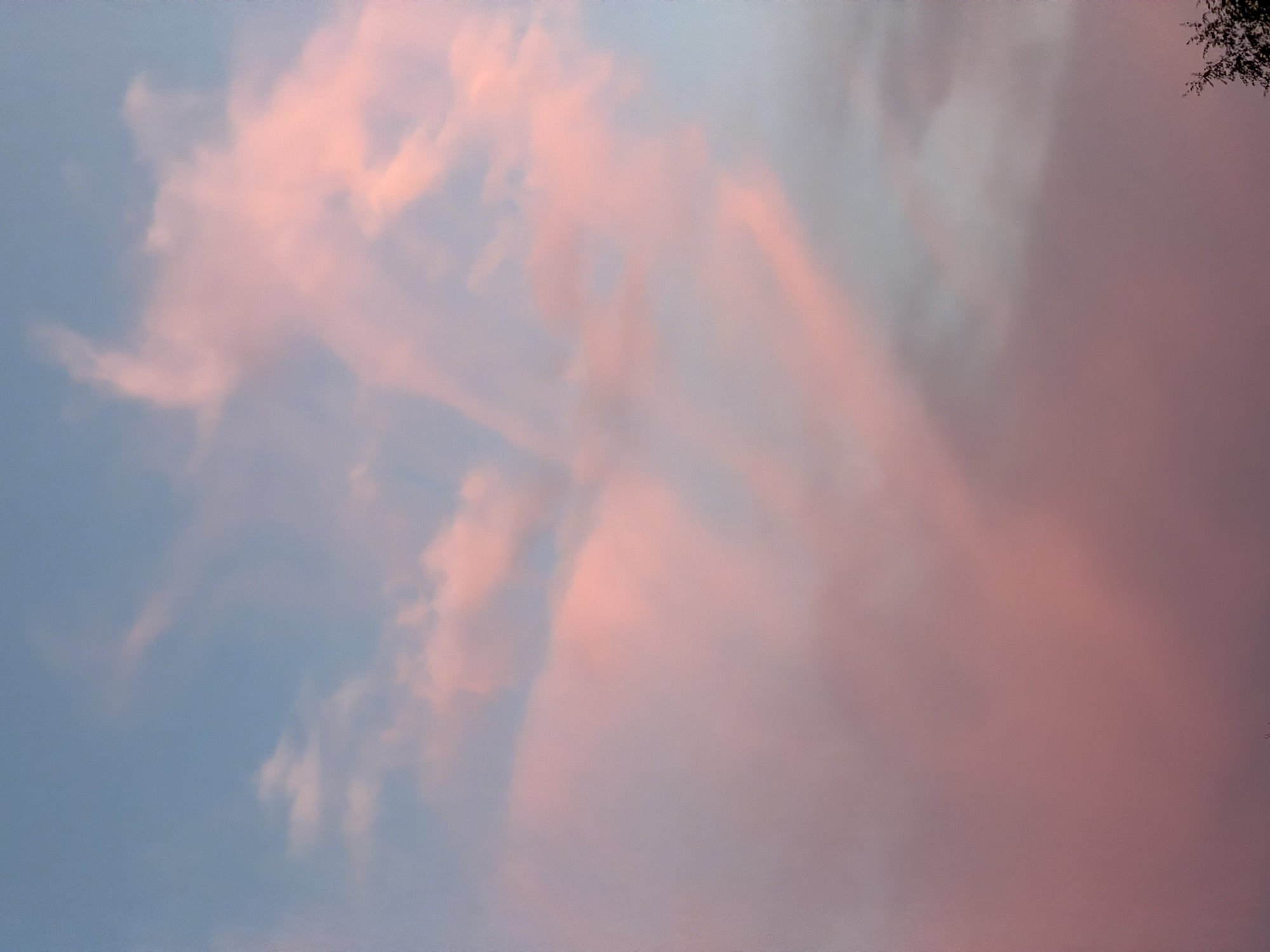 The image shows a sky with pink-tinged clouds. The sky is a soft blue in the lower-left corner. A few branches of a tree are visible in the upper-right corner. The location, Dreiliņi, Latvia, is not evident within the visual information presented in the image.
