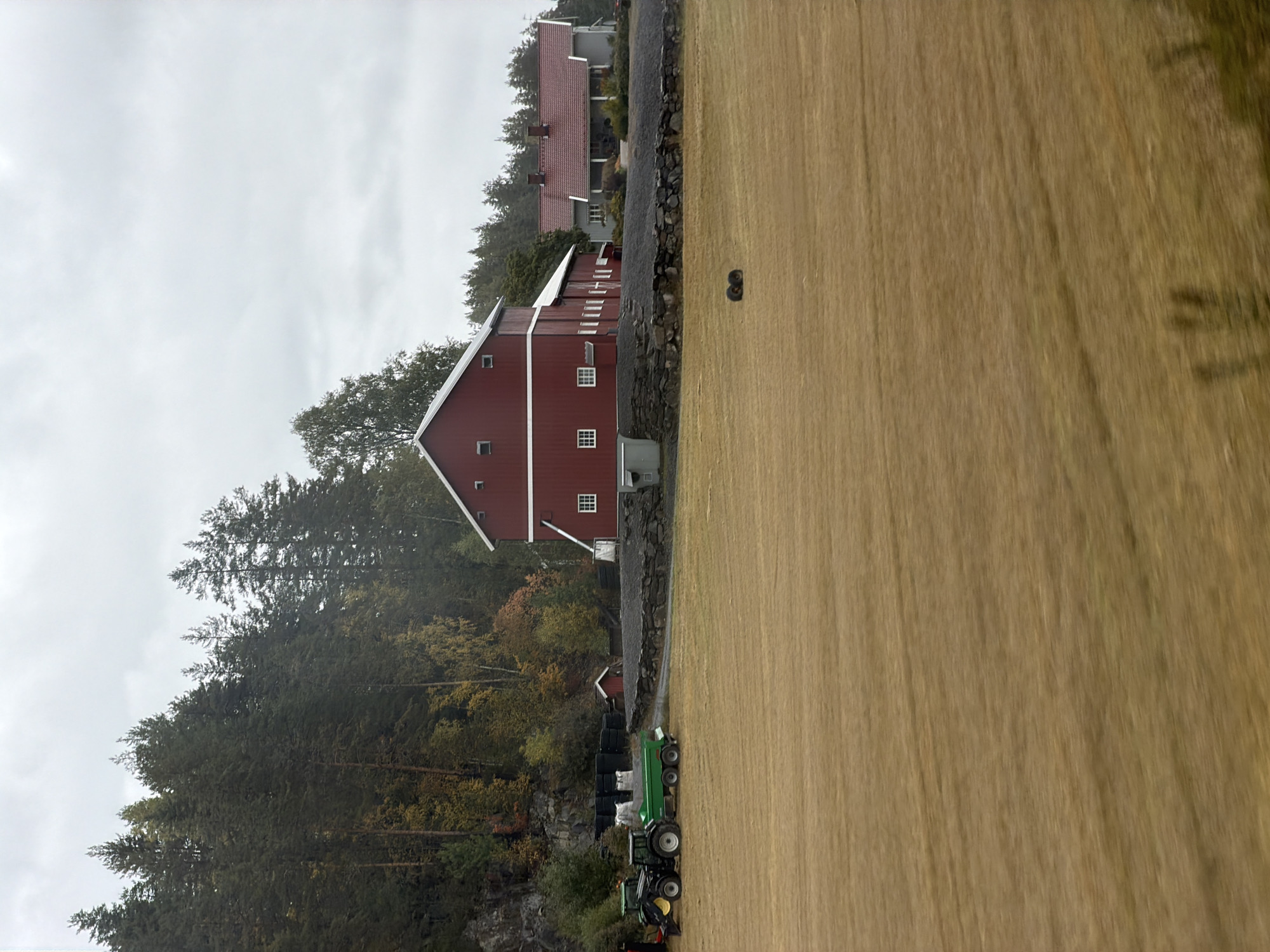In Sokna, Norway, on an overcast day, a rural scene unfolds with agricultural elements and a forested backdrop. In the foreground, a vast, dry, golden field stretches across the frame, showing signs of recent harvesting. Two large, black tractor tires lie side-by-side in the middle of the field.
To the left of the frame, a green tractor is parked next to a green trailer. Behind them, a rocky hillside is covered with dense, dark green coniferous trees, interspersed with some deciduous trees exhibiting autumn colors of yellow and orange.
Further back, a prominent red barn with white trim stands tall, its roof a dark gray. The barn has several small, square windows and a larger white-framed window. To the right of the red barn, a lighter-colored house with a red roof and a covered porch is visible. A stone wall separates the buildings from the field. A small, red shed with a dark roof is situated near the stone wall. The sky is predominantly gray with scattered clouds.