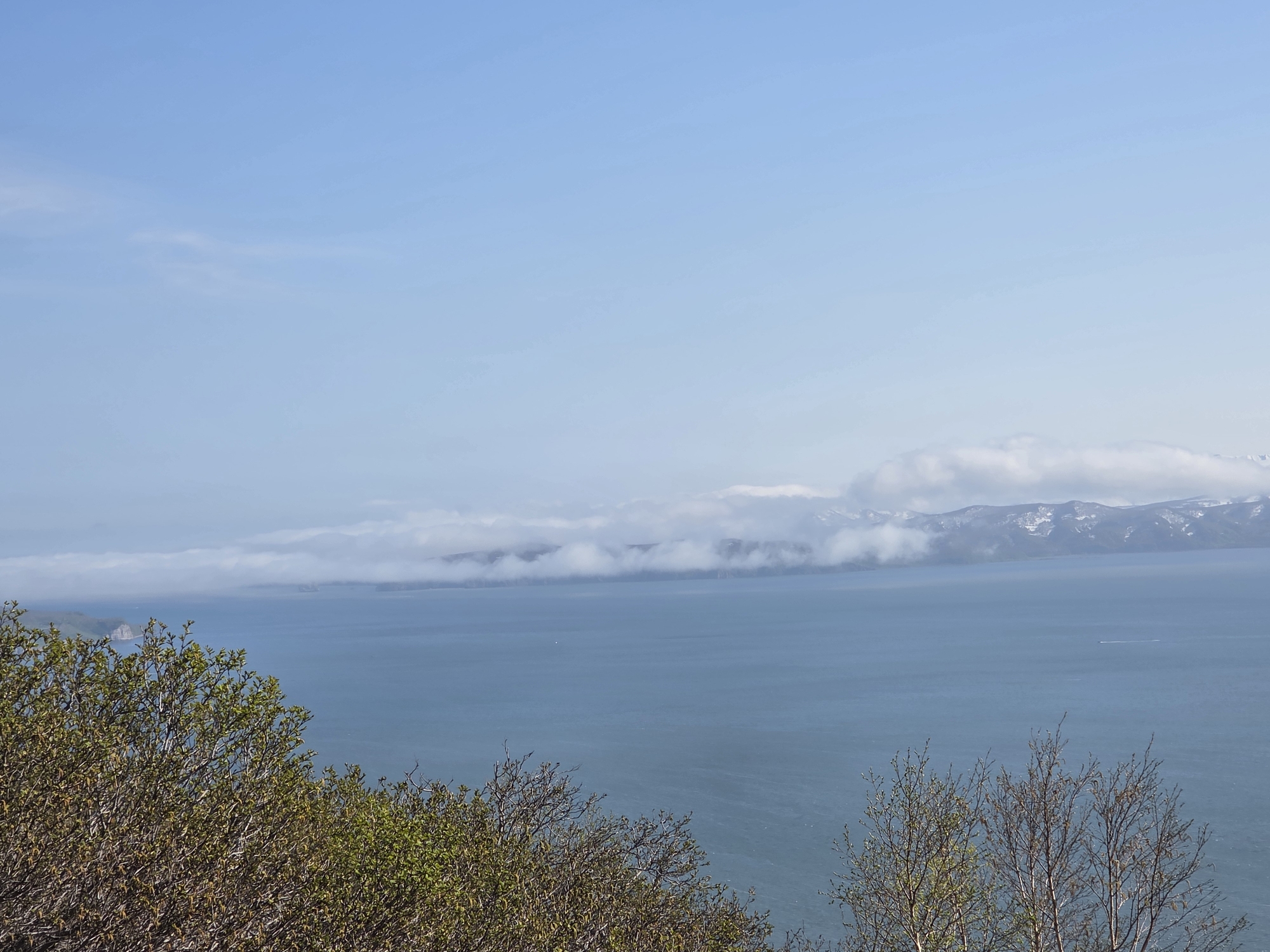 An expansive, tranquil blue body of water stretches across the horizon, meeting a hazy, distant shoreline. The water's surface is slightly rippled, reflecting the soft, pale blue of the sky above. A low-lying band of white clouds hovers just above the water, obscuring the base of snow-capped mountains that rise in the distance. In the foreground, the branches of deciduous trees, some bare and others adorned with sparse new green leaves, frame the scene. The overall impression is one of serene, natural beauty. This image is likely captured from an elevated position, offering a panoramic view of the coastal landscape near the city of Krutoberegovyy, Russia.