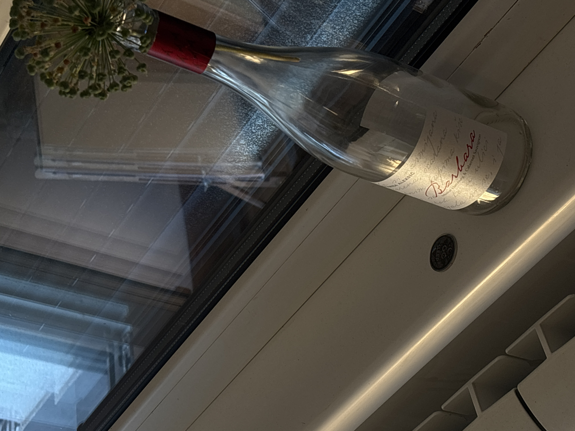 Here's a detailed description of the image:
**Scene Overview:**
The image shows a clear, empty wine bottle repurposed as a vase, holding a cluster of allium flower heads. The bottle rests on a surface within a window frame, positioned at an angle.
**Objects:**
* **Wine Bottle:** An empty, clear glass wine bottle with a red neck. The label is partially visible, displaying the word "Barbara" in a stylized font. The label also has text in Serbian, indicating the wine is a blend of Muskat Hamburg and Cabernet Sauvignon grapes. The label indicates the product is from Serbia.
* **Allium Flowers:** A decorative cluster of allium flower heads.
* **Window Frame:** The bottle sits within the frame of a window. The frame appears to be white.
* **Window Panes:** Multiple glass panes are visible, reflecting the outside environment.
* **Radiator:** The bottom right corner of the image reveals a section of a white radiator.
**Environment:**
* **Indoor Setting:** The scene is clearly indoors, with the window providing a view to the outside.
* **Location:** The location of the product is Serbia, indicating that the scene also takes place in the city of Belgrade, Serbia.
**Action/Interaction:**
* The bottle serves as a vase, holding the allium flowers.
* The arrangement is placed within the window frame, possibly for decorative purposes.