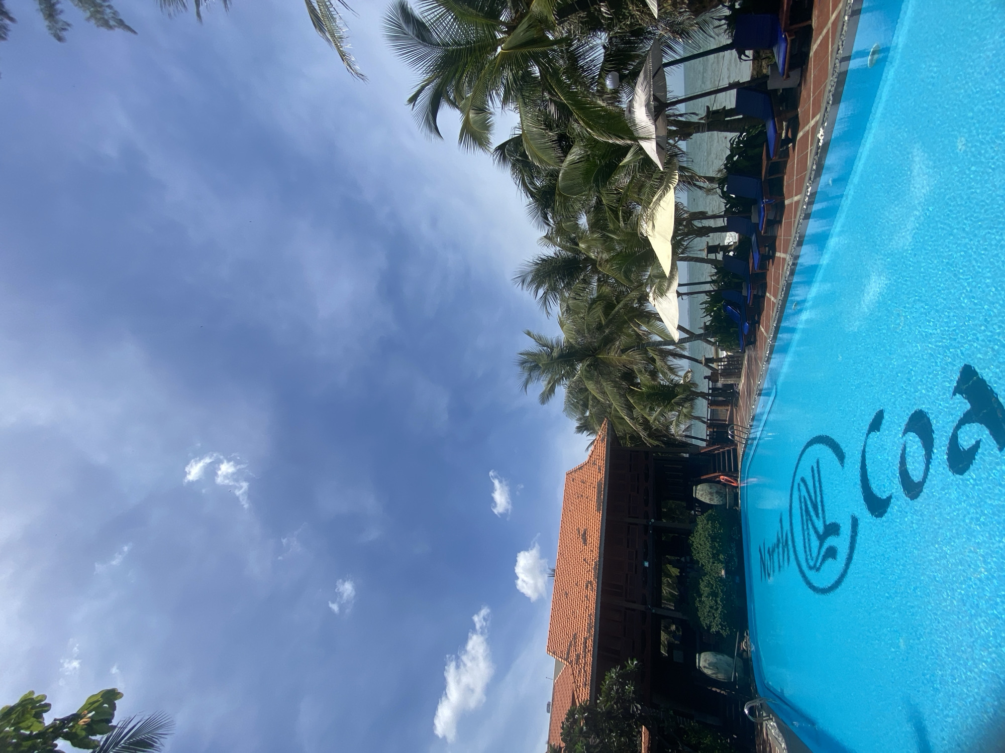 The image captures a vibrant outdoor swimming pool at a resort in Phu Thuy Ward, Vietnam. The pool, filled with bright blue water, dominates the foreground. A black logo, possibly the resort's name, is visible on the pool floor.
To the left, a traditional building with a terracotta-tiled roof stands, partially obscured by lush green foliage and palm trees. The building appears to be elevated.
The background features a line of palm trees and beach umbrellas, with lounge chairs arranged beneath them, suggesting a relaxing beachfront setting. Beyond the trees and umbrellas, the ocean is visible, meeting the horizon under a partly cloudy blue sky.
The overall scene depicts a sunny day at a tropical resort, offering a tranquil and inviting atmosphere. No people are clearly visible engaging in specific actions within the frame. The environment is characterized by vibrant colors and natural elements, indicative of a coastal location.