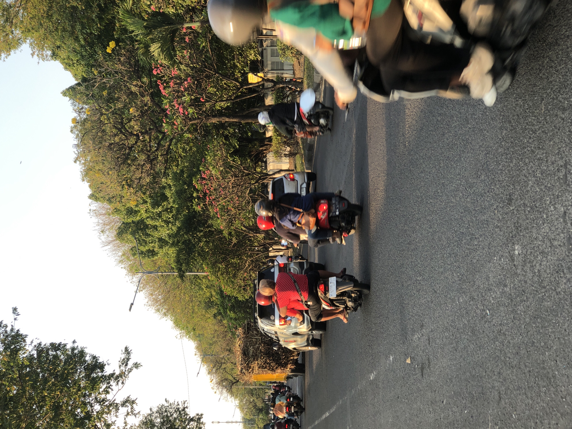 This image depicts a busy street scene in Gelam, Indonesia, likely during daylight hours given the lighting. The foreground is dominated by a road with visible white lane markings. Several motorcycles are in motion, with riders and passengers. In the middle ground, a silver SUV is visible, and to its left, a truck is loaded with what appears to be bundles of sugarcane or similar agricultural material. The background features a dense line of trees, some with vibrant pink flowers, and a clear sky overhead. Streetlights are also present along the roadside. The overall impression is one of daily traffic and commerce in a tropical urban or semi-urban environment.
