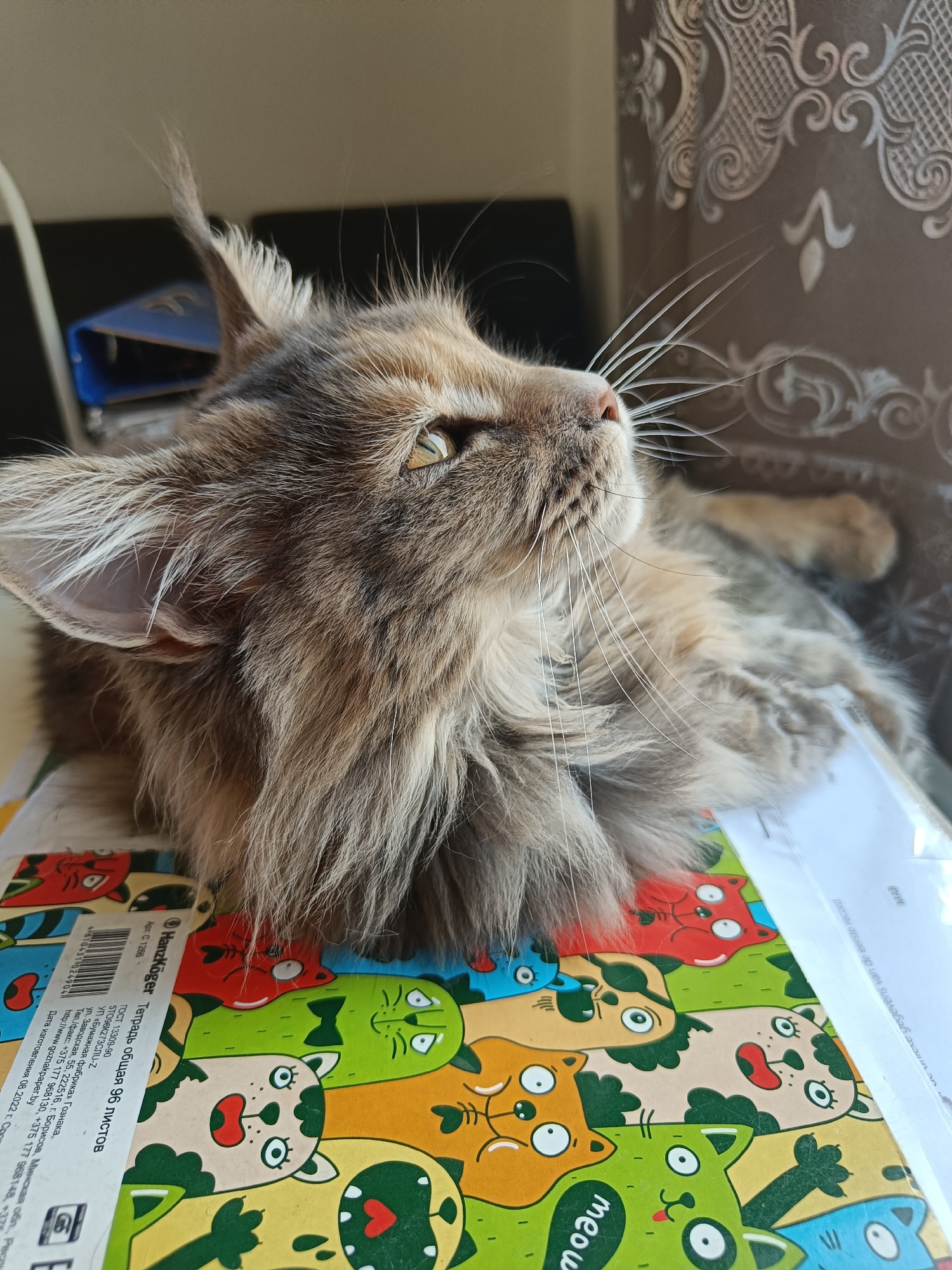 A cat is resting on a notebook. The notebook has a colorful cat pattern and the word "meow" printed on the cover. Text on the notebook includes manufacturing information. The cat has long fur, prominent whiskers, and pointed ears. The background includes a curtain with a patterned design. A table is visible behind the cat.