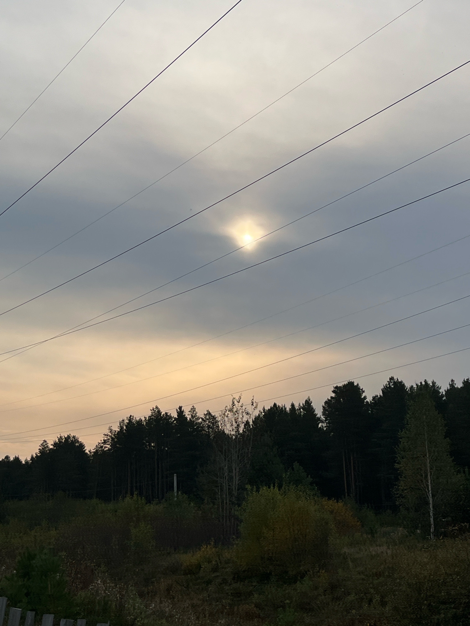 The image shows a landscape with a dark forest in the background, power lines crisscrossing the sky, and a hazy sun peeking through. The foreground features overgrown vegetation and a hint of a wooden fence. The scene appears to be located on the outskirts of Nizhny Tagil, Russia, possibly near a rural or wooded area. There are no people visible in the image. The overall atmosphere is somber and natural, with the overcast sky and dense forest creating a somewhat isolated and rugged impression.