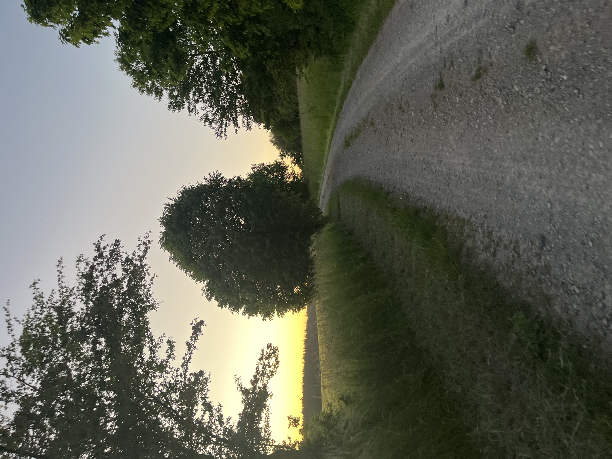 The image depicts a gravel road curving through a landscape at sunset or sunrise. The sky is a gradient of light blue to yellow, with silhouettes of trees framing the top and left of the frame. On the right, the gravel road is flanked by tall grass and foliage. In the distance, the setting sun casts a bright light on the horizon. The location appears to be a rural or semi-rural area, though the specific city and state are unknown.