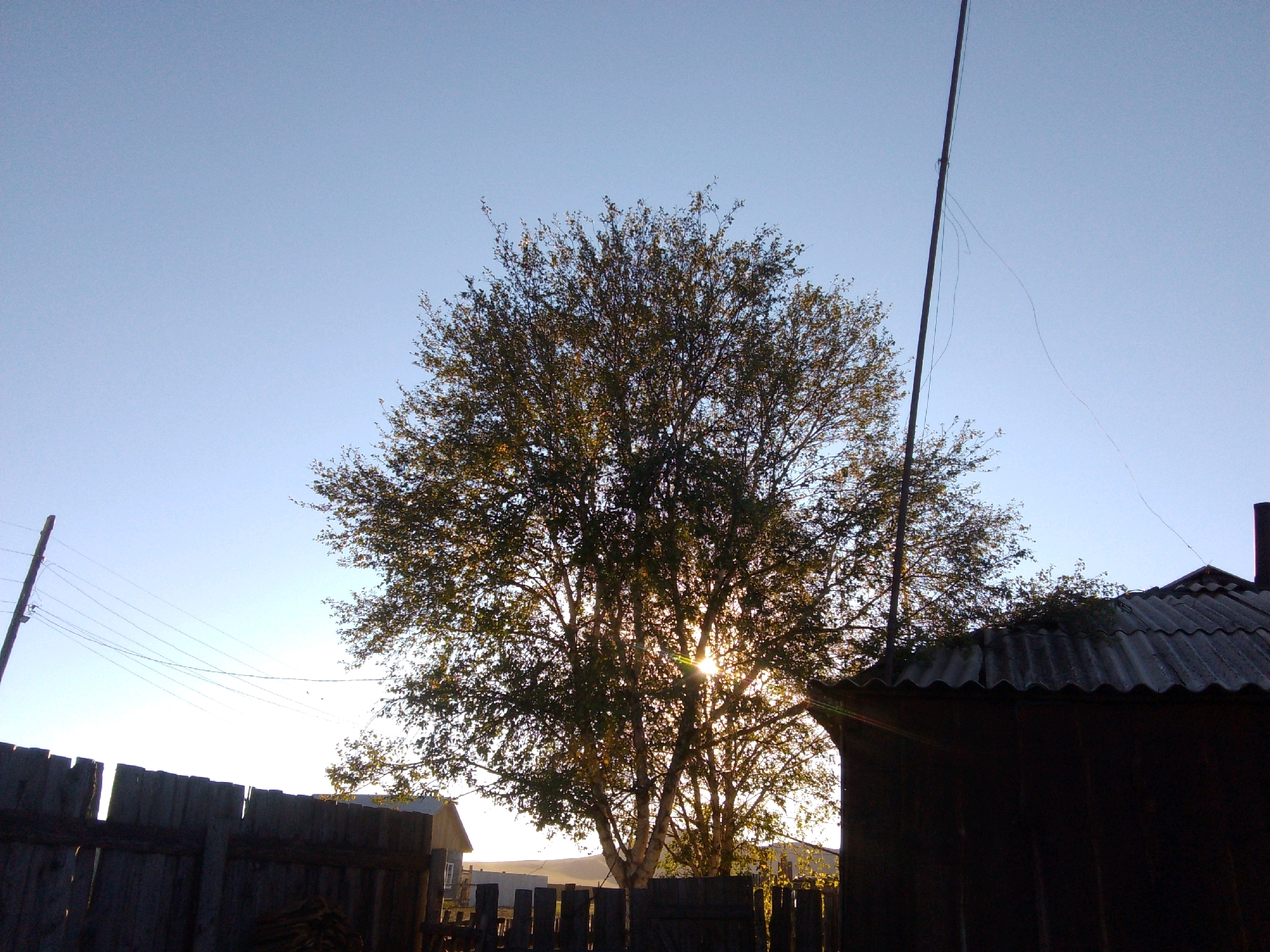 The image depicts a rural scene under a clear blue sky, likely in or near the city of Sush, Russia. In the foreground, a weathered wooden fence runs horizontally across the lower part of the frame, with a darker, possibly wooden structure with a corrugated roof visible on the right. Behind the fence and to the left, a utility pole with electrical wires is present. The central and dominant feature of the image is a large, leafy tree silhouetted against the bright sky, with the sun’s rays peeking through its branches, creating a lens flare effect. In the background, several small buildings are visible, partially obscured by the tree and fence. The overall impression is one of a quiet, possibly late afternoon or early morning rural setting. There are no people or animals visible in the image.