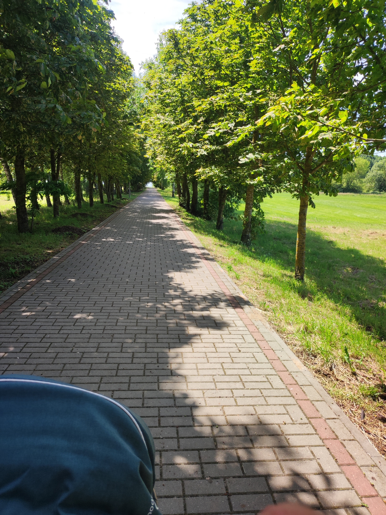 A straight paved walkway with a red brick border extends into the distance, lined on the left by a row of trees with lush green foliage and on the right by a grassy field. The sun casts dappled shadows from the trees onto the walkway. In the foreground, the dark blue fabric of a garment or seating cushion is visible, obscuring the lower portion of the image. The setting appears to be a park or recreational area within the Квасоўскі сельскі Савет, Belarus.