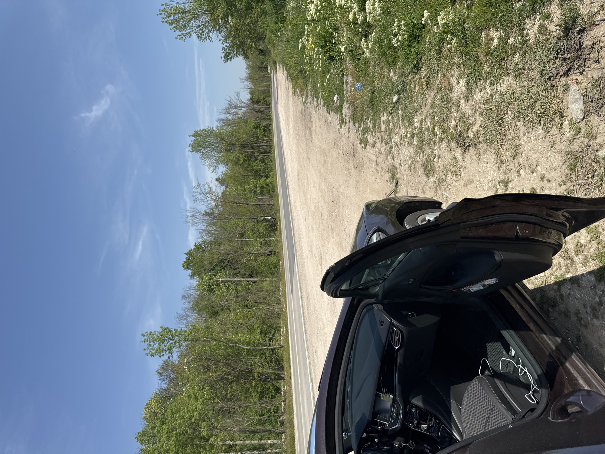 The image shows a car parked on the side of a road in a rural area, likely in Boryana, Bulgaria. The car is dark-colored with an open driver's side door, revealing the interior. The surrounding environment consists of trees, grass, and other vegetation. There is litter on the side of the road. The sky is blue with some clouds.