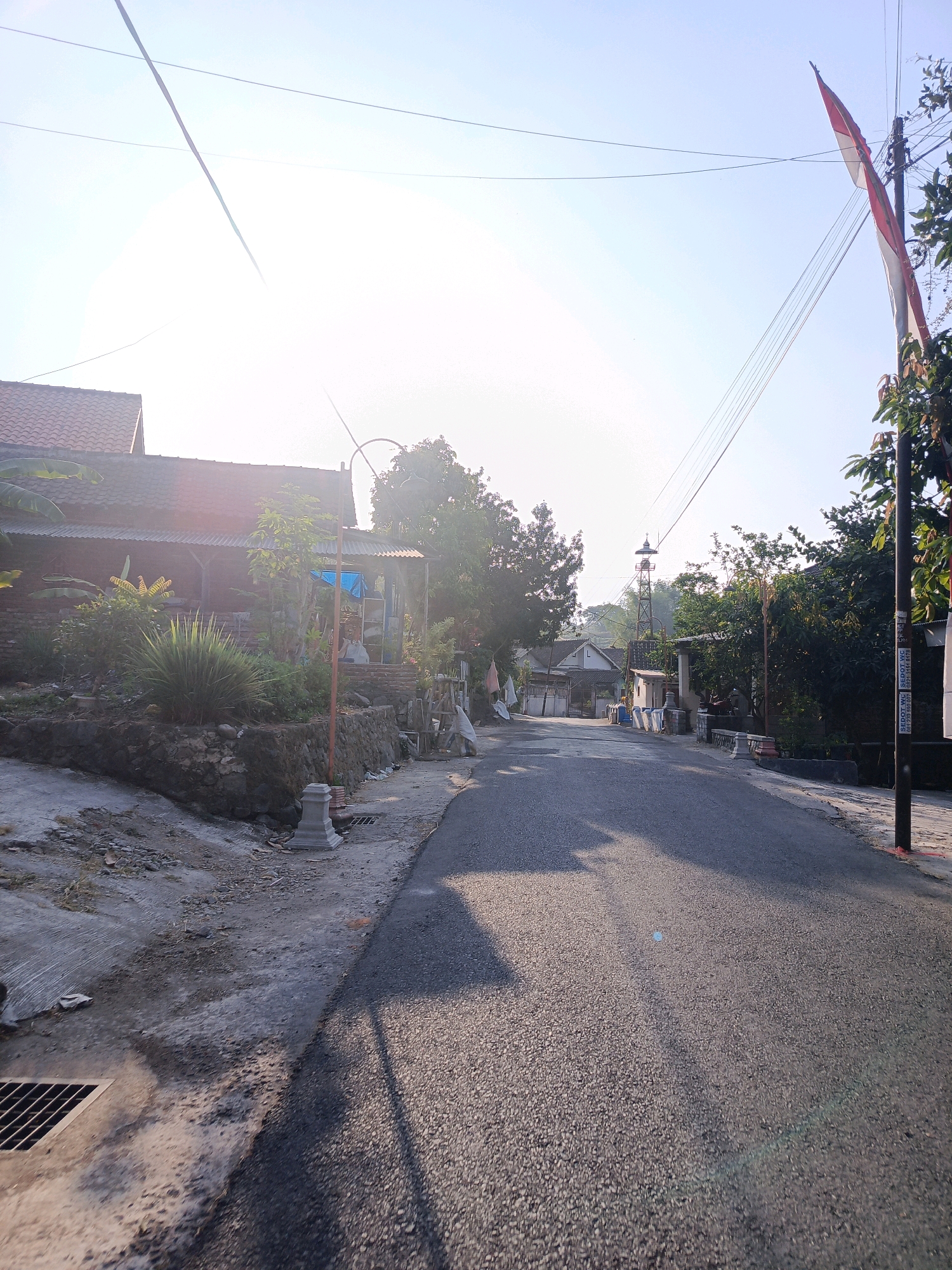 The image captures a street scene in Ringinagung, Indonesia, under a bright, clear sky, likely during sunrise or sunset due to the low angle of the sun and the resulting shadows. The street is paved and appears to be a residential area, with houses and vegetation lining both sides.
On the left side of the street, a house with a red-tiled roof is visible, featuring a covered porch area. In front of the house, a garden with various plants, including a large clump of grass-like plants and banana leaves, is situated on a stone-retaining wall. A short, orange lamppost stands on the sidewalk next to the garden.
The right side of the street features more vegetation and houses. An Indonesian flag, red and white, is prominently displayed on a pole near a utility pole with many wires. Further down the street, a water tower-like structure is visible in the distance, surrounded by trees.
The road itself is dark asphalt and shows signs of use, with shadows cast across it from the buildings and trees. A drainage grate is visible on the left side of the road near the foreground. The overall impression is a peaceful, everyday street in a rural or suburban Indonesian village. No people are visible in the image.