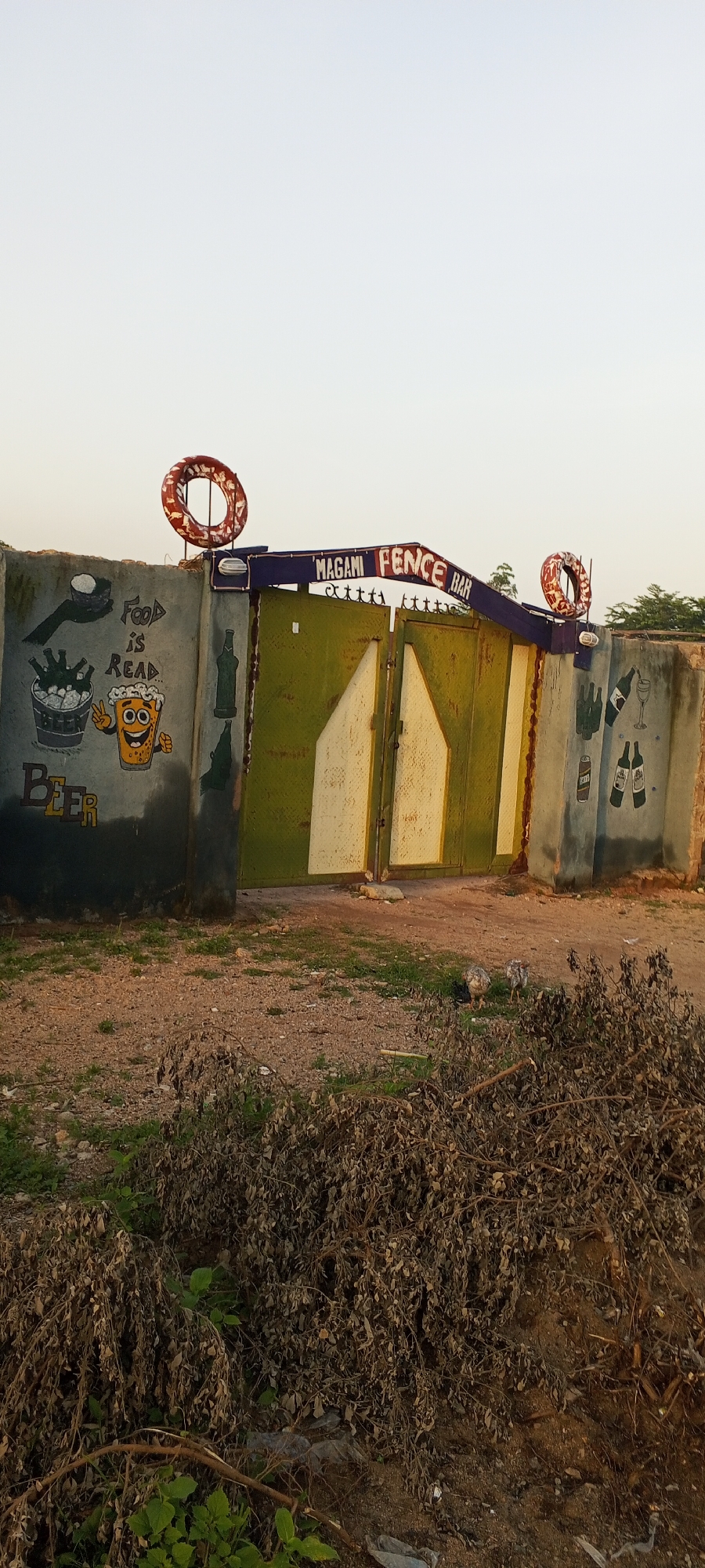 The image shows a gate and surrounding wall of "Magani Fence Bar" in Jalingo, Nigeria. The gate is painted green and yellow, with a purple sign above it. The wall on the left side of the gate has graffiti depicting a bucket of beer, a glass of beer, and the words "Food is Read Beer". The wall on the right side has drawings of bottles, a wine glass, and two hands giving a peace sign. There are two circular, red and white objects on top of the wall, possibly repurposed tires. In front of the gate, there is dry brush and sparse vegetation. The ground is a mix of dirt and gravel. Two birds are visible on the ground in the foreground, near the dry brush. The sky is overcast.