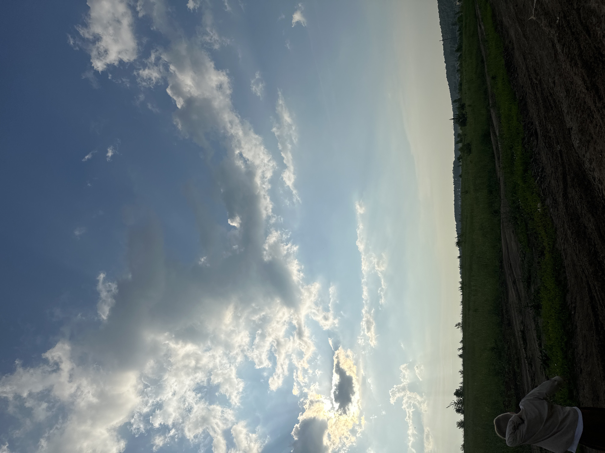 The image depicts a vast, open field with a dirt road running through it. In the foreground, a young person wearing a light-colored hooded jacket is seen from behind, with their arm raised. The field is covered in lush green grass and scattered small trees. The background features a dense line of trees forming a horizon, with a slightly hazy sky above. The sky is a mix of blue and white clouds, with the sun partially obscured by clouds, casting beams of light. The scene appears to be in a rural or semi-rural setting, possibly on the outskirts of Эстачи, Russia, given the characteristic landscape of rolling hills and extensive greenery common in the region. The overall impression is one of an outdoor, natural environment, likely during the daytime.