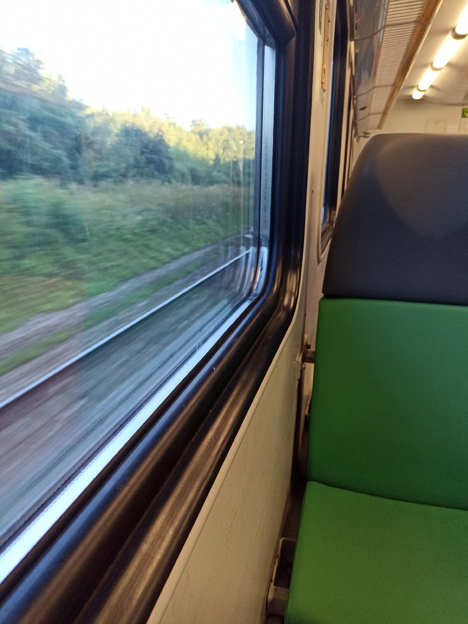 The image shows the interior of a train carriage, viewed from a window seat. Through the window, a blurred landscape of trees and fields can be seen, indicating the train is in motion. The train carriage itself is visible, with a dark grey headrest and a green seat in the foreground. The ceiling of the carriage has fluorescent lights. There is no discernible information within the image to suggest a specific location in Moscow, Russia, or any details about people or actions.