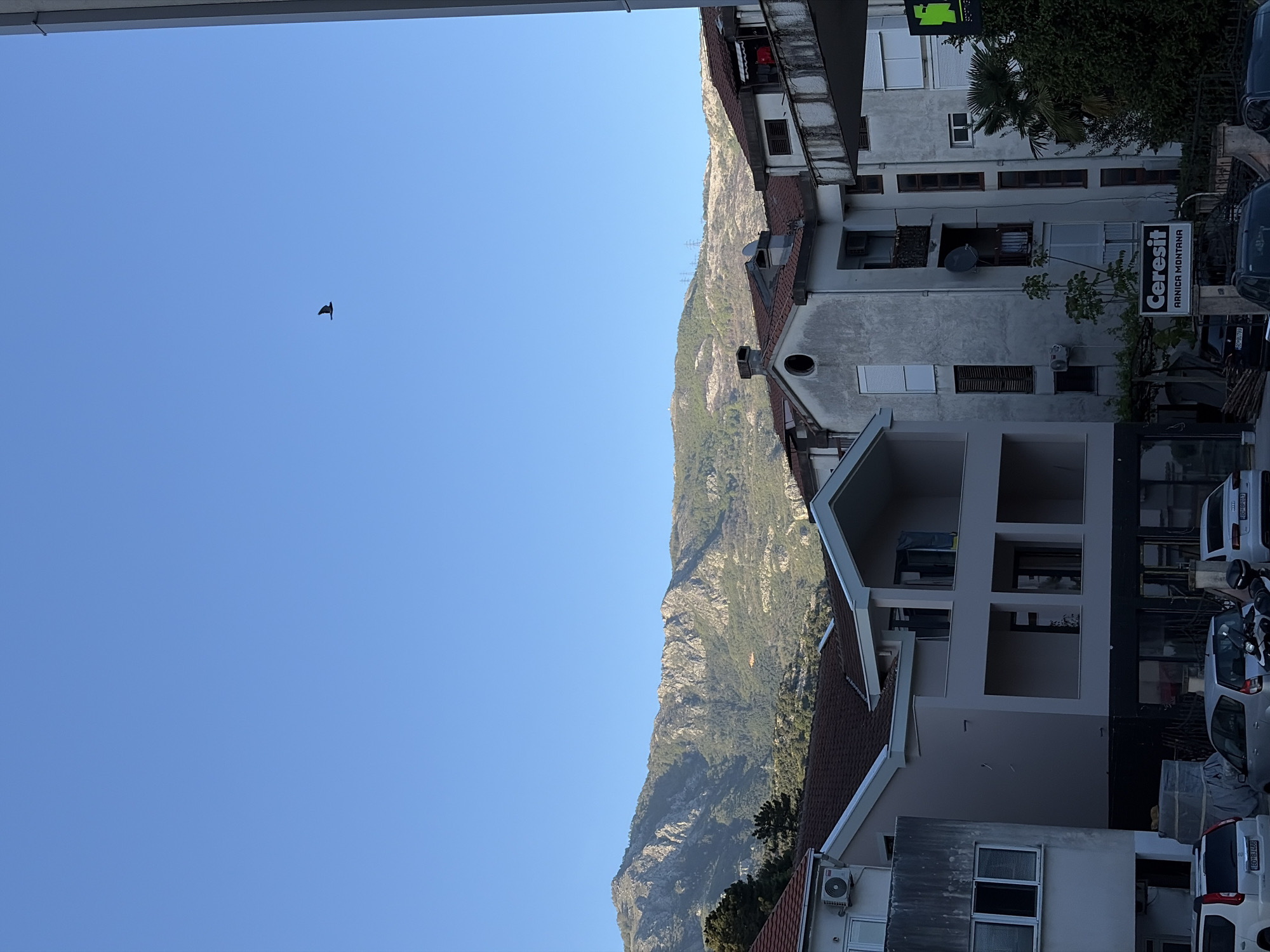 The image presents a sunlit view of a town in Budva, Montenegro, set against a backdrop of a large, rugged mountain under a clear blue sky.
In the upper left quadrant, a dark, bird-like shape is visible in flight against the pristine blue sky. The right side of the frame is dominated by a majestic, rocky mountain, partially covered in green vegetation. Faint structures, possibly power lines, can be seen along its slopes.
The lower portion of the image features a collection of multi-story buildings, characterized by light-colored facades, some with balconies, and reddish-brown tiled roofs. Architectural details include windows, some fitted with shutters, and external air conditioning units. A satellite dish is mounted on one building. Lush greenery, including a prominent palm tree, is interspersed among the structures.
At the bottom right, several parked vehicles, including cars and a scooter, are visible. Montenegrin license plates, such as "BD-G201" and "BD-BN489," are discernible on some cars. A prominent sign on one of the buildings displays the text "Ceresit" above "ARNICA MONTANA," likely indicating a local business. The bright, clear sky and strong sunlight suggest it is daytime, probably morning or early afternoon, with excellent weather.