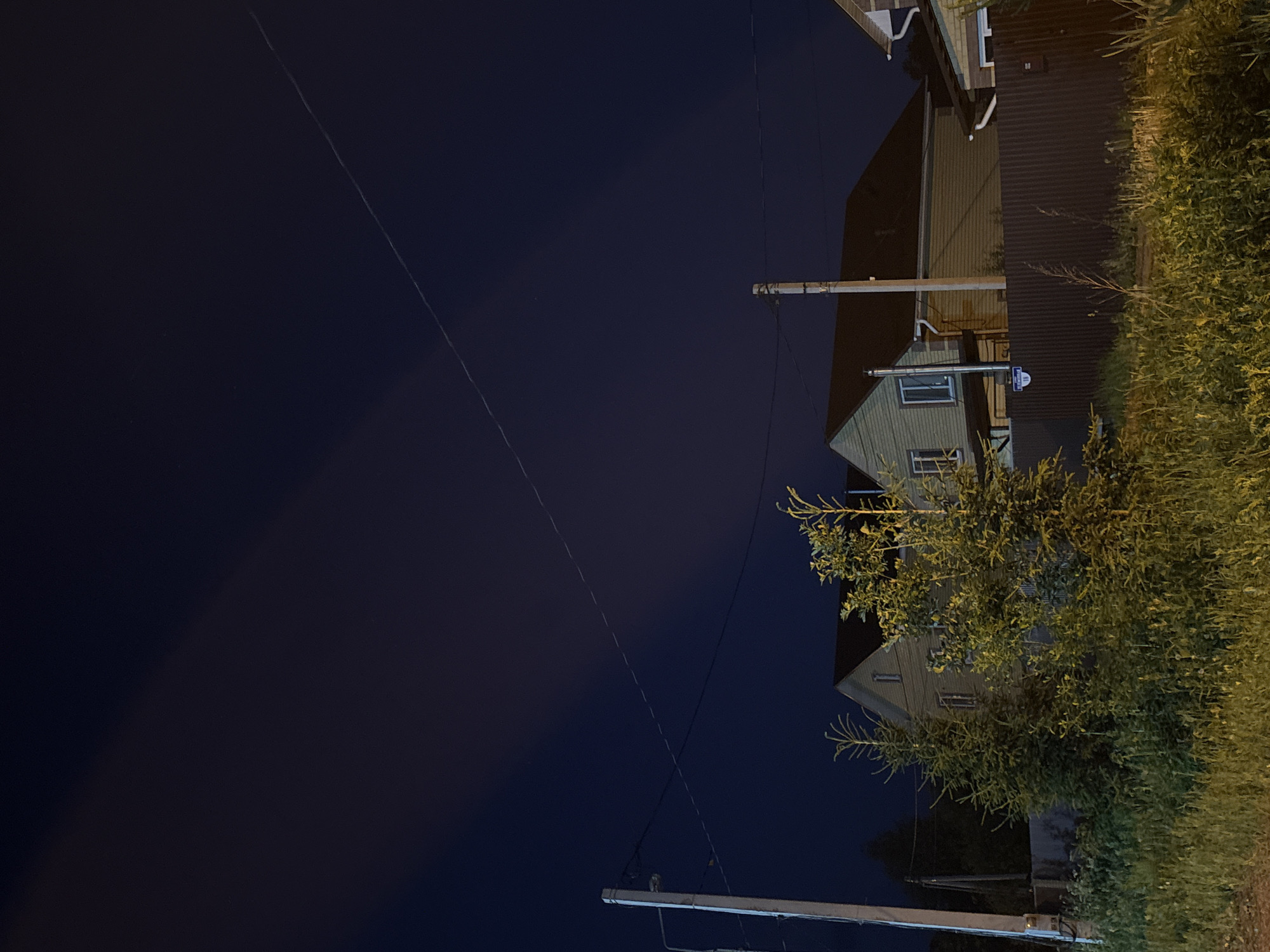 The image displays a nighttime scene in a residential area, identified as Perm, Russia. The sky, a deep indigo, occupies the upper two-thirds of the frame, exhibiting faint, dark, elongated atmospheric shadows in the upper left quadrant. A thin, bright linear streak, possibly a satellite or high-altitude aircraft contrail, diagonally traverses the sky from the middle left to the upper right.
The foreground is dominated by unkempt vegetation, including tall grasses, weeds, and small bushes, illuminated with a yellow-green hue by an unseen artificial light source originating from the left.
In the midground, a tall, light-colored utility pole with a dark streetlight fixture stands on the far left. Another, shorter utility pole is visible further right. Multiple dark power lines stretch across the frame, connecting to these poles and extending towards the houses.
Behind the vegetation, a dark brown corrugated metal fence runs horizontally. Attached to this fence, near the center, is a rectangular street sign with Cyrillic text. The sign clearly displays "1Б" and the partial text "АЯ УЛИЦА" (implying "Street"), consistent with street naming conventions in Russia, possibly indicating "Polevaya Ulitsa" or similar.
Beyond the fence, at least two residential houses with pitched, dark roofs are visible. The primary house, located slightly left of center, features light-colored siding (appears beige or light green), multiple windows (some emitting interior light), and a visible downspout on its right side. No individuals or active interactions are present in the static scene.