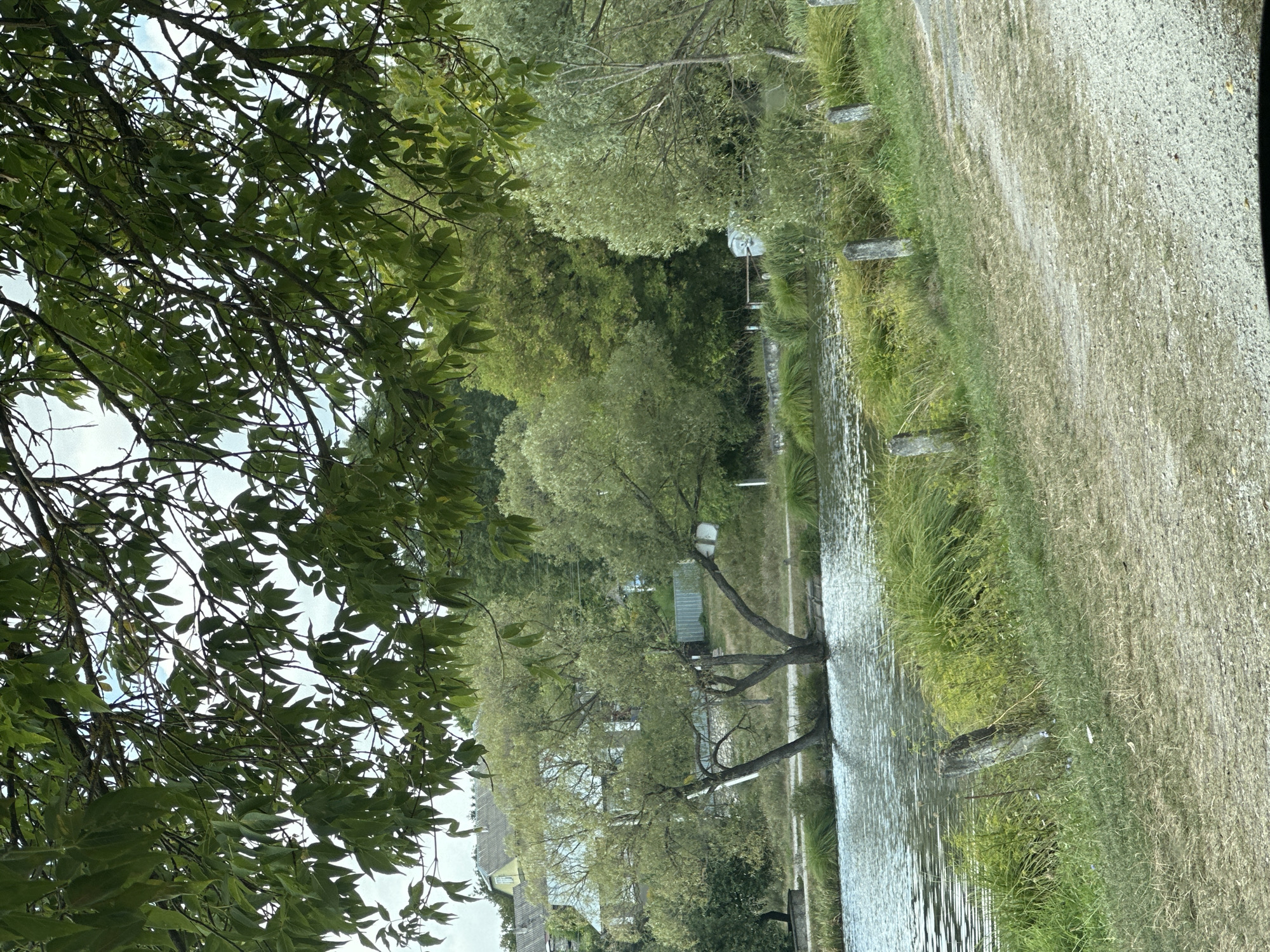 The image depicts a tranquil waterside scene in Makiv, Ukraine, characterized by a body of water in the foreground, with a dirt path to the right. Overhead, lush green tree branches with leaves partially obscure the sky. Across the water, the bank is lined with tall green grass and several weathered wooden posts. In the middle ground, on the opposite bank, a cluster of trees of varying heights and foliage density are present. Beyond the trees, houses with grey roofs are visible on a slightly elevated incline. The overall atmosphere is one of natural beauty and rural serenity.
