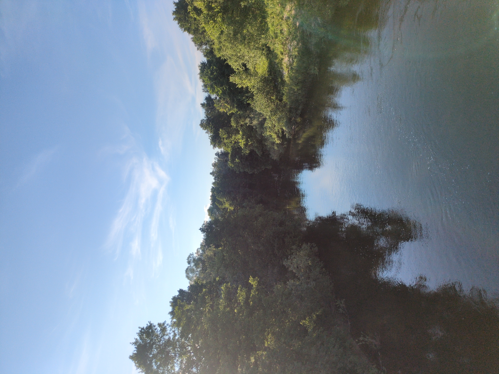The image shows a wide river flowing through a dense forest. The sky is clear blue with a few wispy clouds. The sun is shining brightly, casting a warm glow on the trees and water. The river is dark and reflective, mirroring the surrounding foliage. The banks of the river are lined with lush green trees and vegetation, creating a natural and serene landscape. The scene appears to be a peaceful natural setting, possibly in a rural area given the absence of any urban structures. The location provided, Молочной фермы, Russia, suggests a rural or agricultural context, which aligns with the natural scenery depicted. There are no people or animals visible in the image.