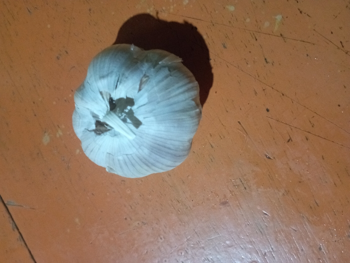 A single, whole head of garlic rests on a worn, orange-brown surface. The garlic, positioned slightly to the left of the frame's center, is off-white with visible papery outer layers. A prominent shadow is cast by the garlic towards the upper right, indicating a light source from the left.
The surface beneath the garlic appears to be a tabletop or floor, possibly painted wood or linoleum, in a muted terracotta or burnt orange color. This surface shows signs of wear, characterized by numerous thin, dark scratches and scattered small specks of dirt or debris. The lighting suggests an indoor setting or controlled light conditions.
There are no people or activities depicted in the image; it is a still life composition. No discernible text is visible. The scene is situated in Pubian, Indonesia.
