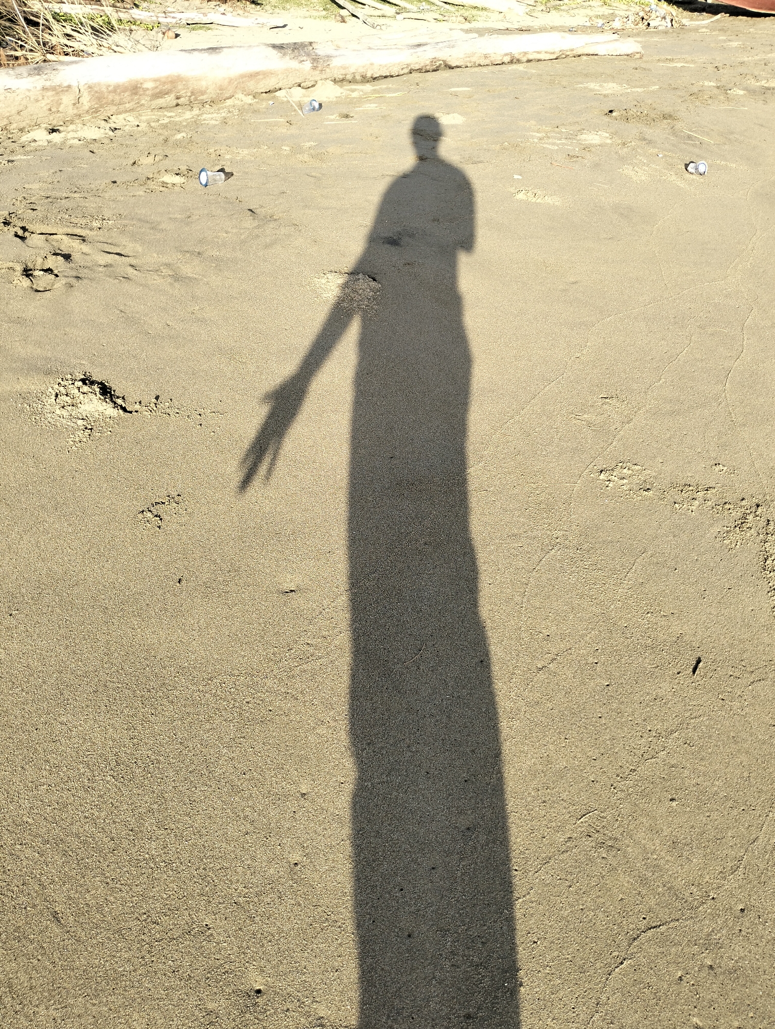 A shadow of a person is cast on a sandy surface. There are a few small cylindrical objects scattered across the sand. The background includes vegetation and a light-colored object, possibly driftwood. This photo was taken in Sagoe, Indonesia.