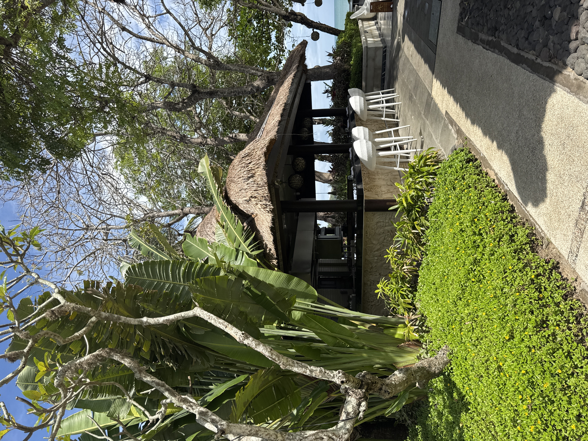 This image captures a serene outdoor tropical setting, likely a resort or hotel area in Kuta Selatan, Indonesia. The central subject is an open-air structure with a traditional thatched roof, possibly a bar or a casual dining spot. It features dark wooden support posts and a counter, with several white, woven bar stools positioned in front. Spherical decorative lights are suspended from the ceiling of this structure.
The scene is enveloped by lush greenery under a bright, clear blue sky dotted with some white clouds. Various trees with both dense foliage and visible branches frame the area, while large-leafed tropical plants, resembling banana plants, are prominent in the foreground and around the building. The ground is covered with vibrant green low-lying plants, some displaying small yellow flowers. Paved pathways, including a light-colored gravel path and a darker stone-lined section, meander through the landscape.
The bright sunlight indicates it is daytime, casting noticeable shadows on the pathways and ground cover. No people are visible, contributing to a tranquil and inviting atmosphere. A small sign, too blurry to read, is present on the right side of the thatched structure. The overall impression is one of a peaceful and picturesque tropical destination.