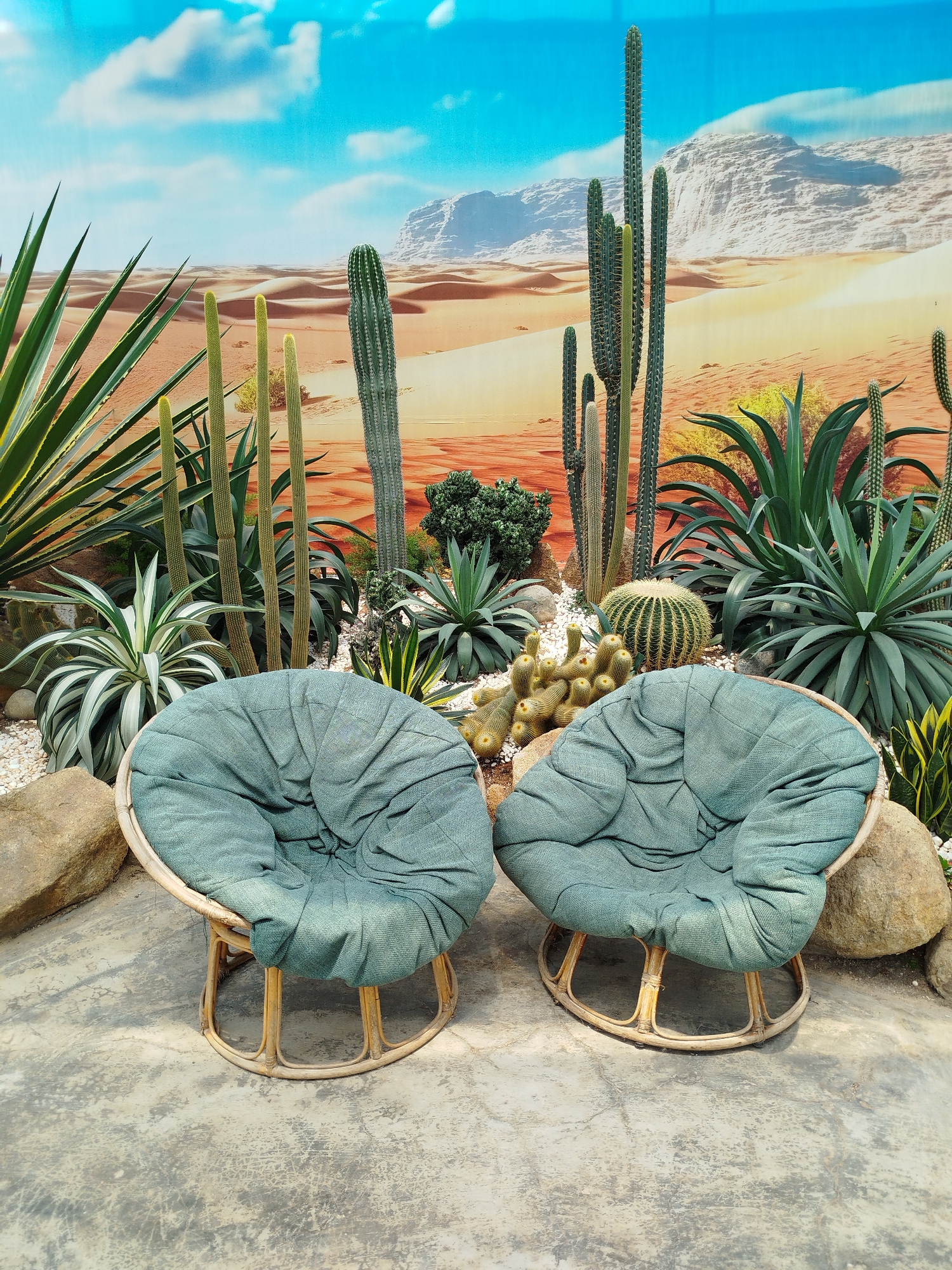 Two round, light-brown rattan chairs with teal cushions sit side-by-side on a gray concrete surface. The chairs are surrounded by cacti, succulents, rocks, and white gravel. Behind the chairs is a backdrop depicting a desert landscape with sand dunes and a sky with some clouds. The scene is likely a display in Lang Biang - Da Lat, Vietnam, based on the provided context.