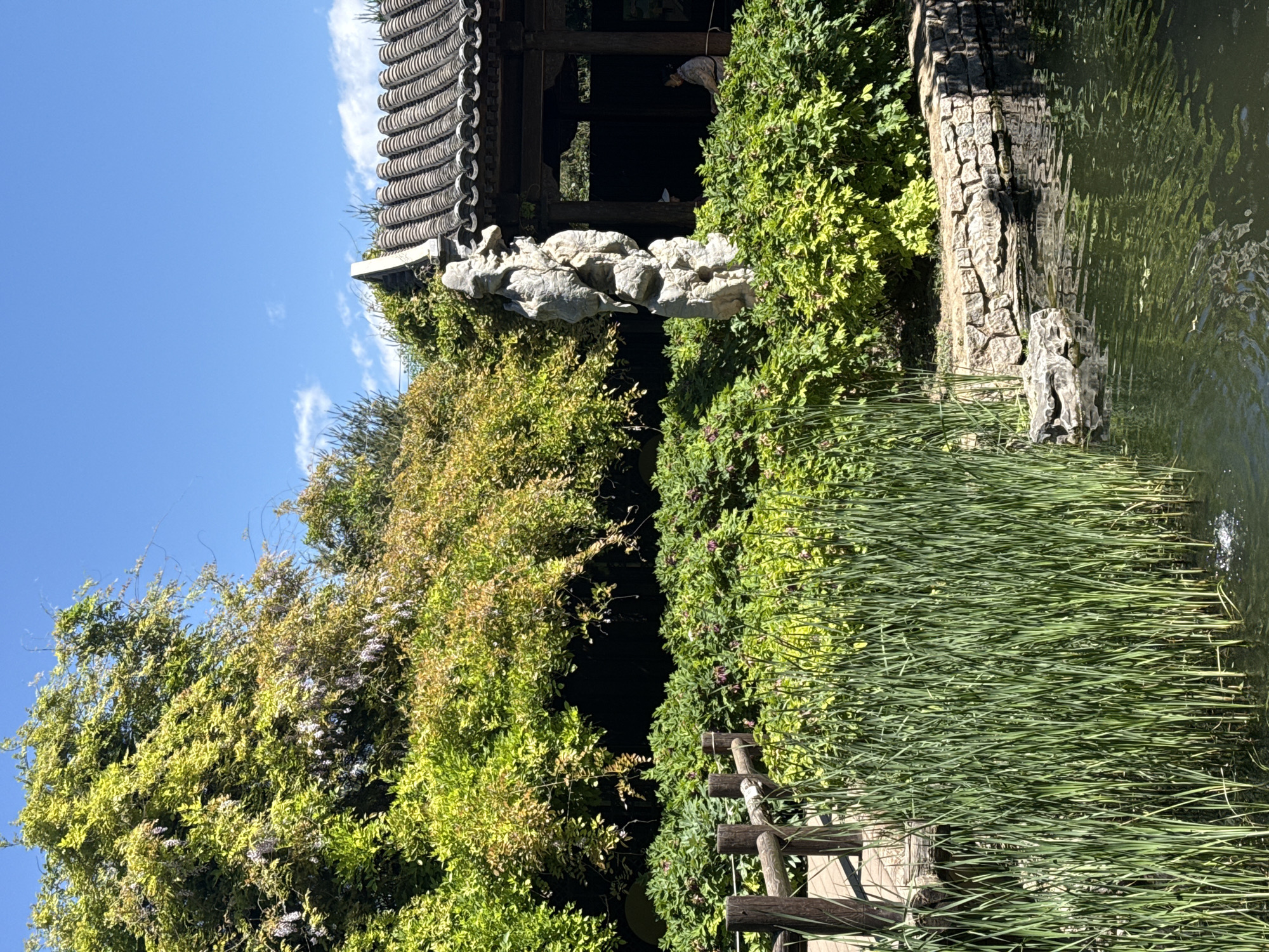 The image depicts a scene at Beihai Park in Dongcheng District, Beijing, China. A traditional Chinese pavilion with a tiled roof is partially visible, surrounded by dense foliage. A decorative rock feature is positioned near the pavilion's roofline. The scene includes lush greenery, and a body of water with tall grasses growing along its edge. A wooden fence borders a walkway or path along the water. The sky is blue with some clouds.