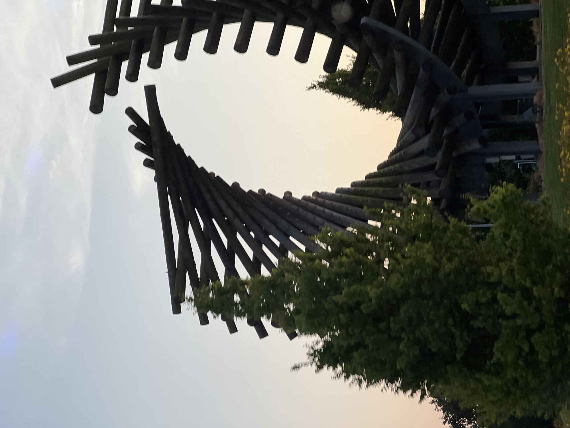 The image shows a curved, wooden sculpture in a park-like setting. The sculpture is composed of numerous dark, cylindrical wooden beams arranged in a spiral or helical pattern, forming a large, open circular shape. The sculpture is dark brown or black in color and appears to be weathered.
In the foreground, a large, dense evergreen tree with dark green foliage is visible on the left side of the frame. To the right of the sculpture, another smaller evergreen tree is partially visible. The ground in the lower part of the image is covered in grass with some scattered yellow flowers.
The background consists of a pale sky with subtle gradients of light blue and yellow, suggesting it may be dawn or dusk. There are some faint, wispy clouds. The overall impression is one of an outdoor public art installation in a natural or landscaped environment.
The sculpture is located in the Sister Cities Park in Letterkenny, Ireland. It is known as the "Wave" sculpture.