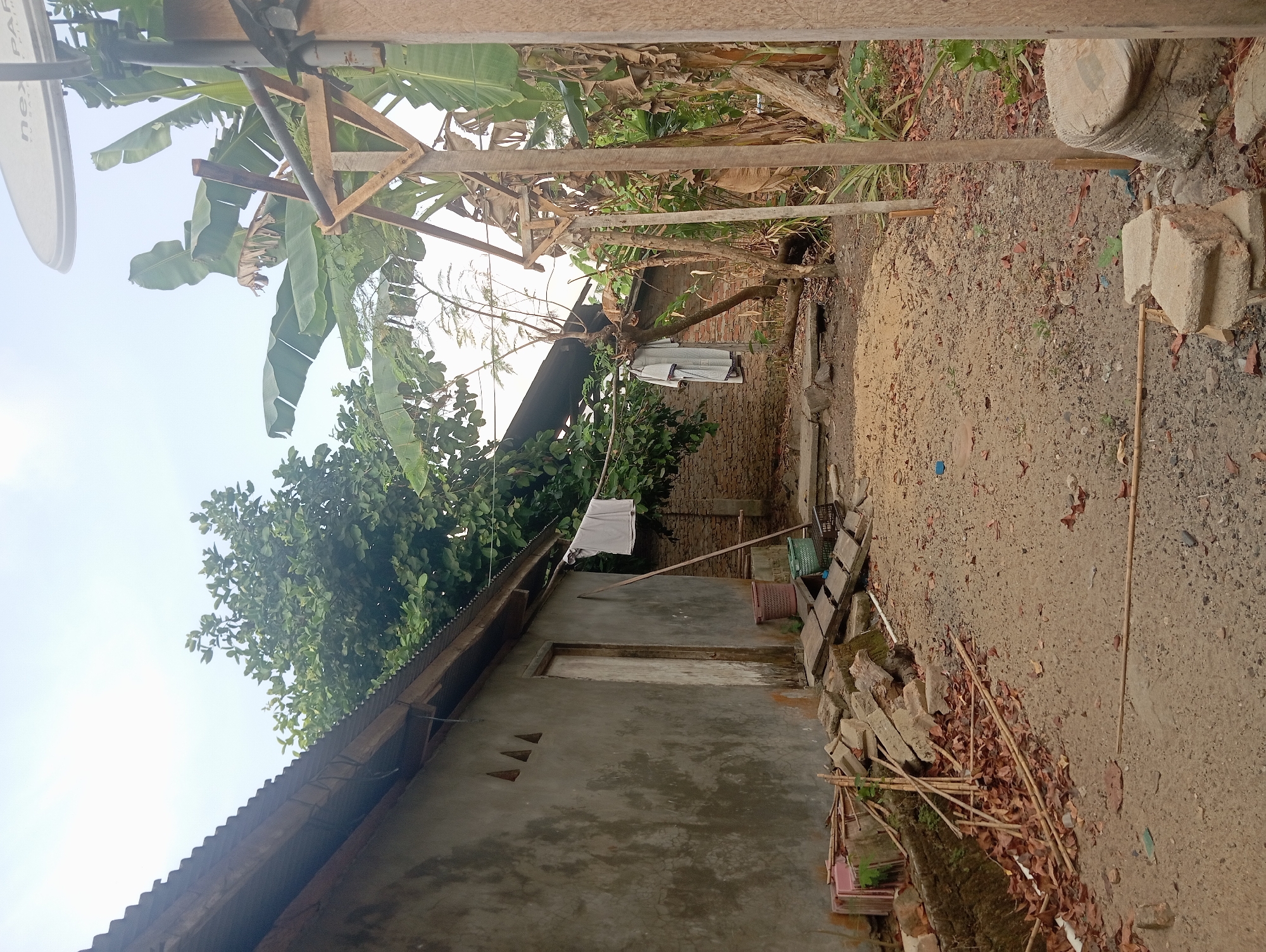 The image depicts a rural backyard area. On the left, a concrete building with a corrugated metal roof is visible, featuring a wooden door and three triangular ventilation openings near the roofline. The wall is weathered and shows signs of age. In front of the building, there is a pile of debris, including broken concrete blocks, wooden planks, bamboo poles, and dried leaves.
To the right of the building, a dirt and gravel path leads into the scene. Banana trees with large fronds dominate the right side of the image, with some of their leaves appearing dry and brittle. A wooden structure, possibly a support for laundry or a makeshift shelter, is present among the banana trees, with a satellite dish visible above the foliage in the upper right corner. Two pieces of clothing are hanging on a line between the building and the wooden structure. In the foreground, more debris, including several concrete blocks, is scattered on the ground. The overall impression is one of a utilitarian, somewhat unkempt outdoor space in a tropical or subtropical environment. The scene is devoid of any people.