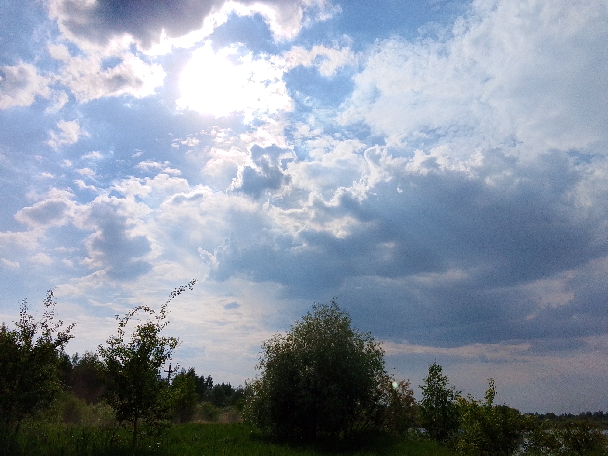 A full shot captures a landscape under a dynamic sky. The sun, partially obscured by dramatic clouds, casts a bright glow in the upper left quadrant. The sky transitions from bright blue with scattered white clouds to darker, more ominous storm clouds on the right. In the foreground, lush green grass covers the ground, with various trees and bushes dotting the scene. To the left, the branches of two trees arch upwards, their leaves appearing windswept. A large, bushy tree stands prominently in the center, silhouetted against the sky. In the distance, a line of trees forms a dark horizon. The environment appears to be a natural, possibly rural area, with no people or man-made structures immediately visible in the foreground. The overall impression is of a natural landscape under changing weather conditions.