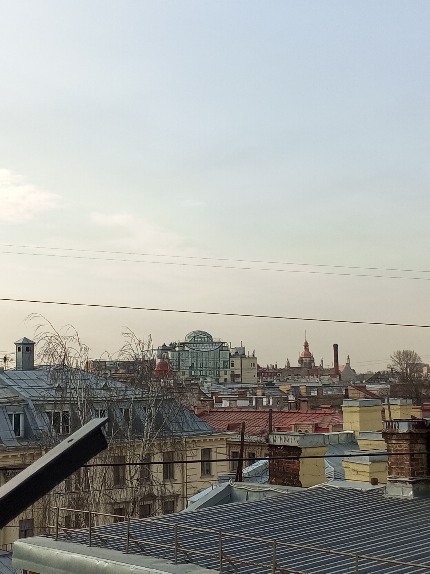 The image shows a cityscape of Saint Petersburg, Russia, taken from a high vantage point, likely a rooftop. The scene features a variety of buildings, including residential and commercial structures, with a mix of architectural styles. The building with a glass dome, likely "Атриум на Невском", stands out in the distance. Other notable structures include those with red roofs and a tower-like structure with a spire.
In the foreground, there is a metal rooftop and a structure obstructing the view from below left, with several bare trees adding visual texture. Power lines can be seen spanning across the frame against the sky. The sky appears overcast, suggesting a cloudy day. There are no people visible in the image.