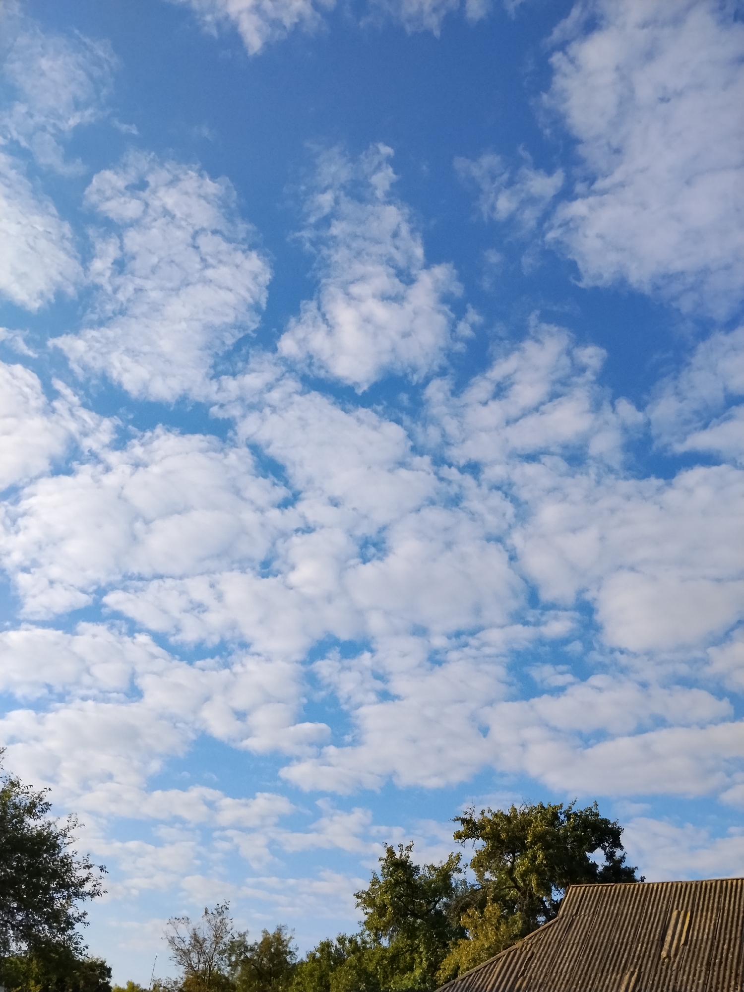 The image displays a bright blue sky filled with scattered white cumulus clouds. In the lower portion of the frame, the tops of green trees are visible, along with the corrugated roof of a building. The scene appears to be an outdoor view from a residential area in Ustyvytsia, Ukraine, likely during the daytime. There are no people or animals present in the image.