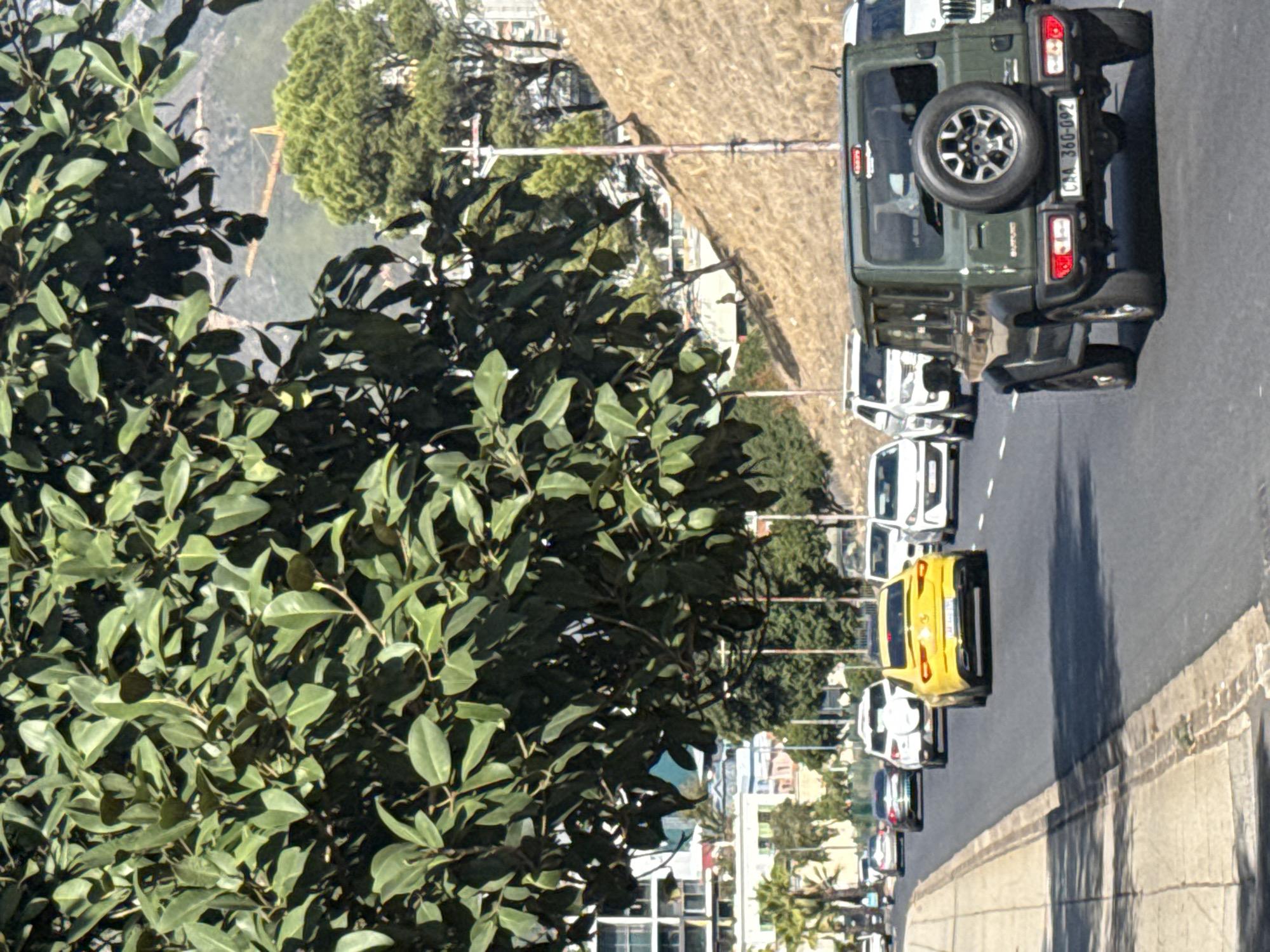 The image shows a line of cars on a street in Cape Town, South Africa. The cars are mostly white and yellow. There is a green SUV at the front of the line with license plate "CAA 360-092". A large leafy tree dominates the left side of the image. In the background, a wall and greenery can be seen. The image is taken from an elevated position.