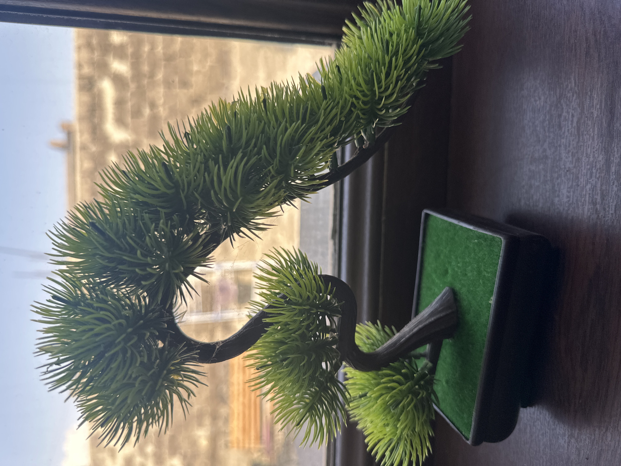 A small, artificial bonsai tree with bright green, needle-like foliage is positioned in a black rectangular planter with a green, felt-like base. The tree has a dark brown, twisted trunk and branches. It sits on a dark brown, wooden surface, possibly a windowsill or table, in front of a window. The window offers a blurred view of a tan-colored building with some horizontal structures, possibly awnings or balconies, and a pale blue sky with faint clouds. The lighting suggests it is daytime, with sunlight illuminating the scene from behind and through the window, casting a shadow of the tree on the surface.