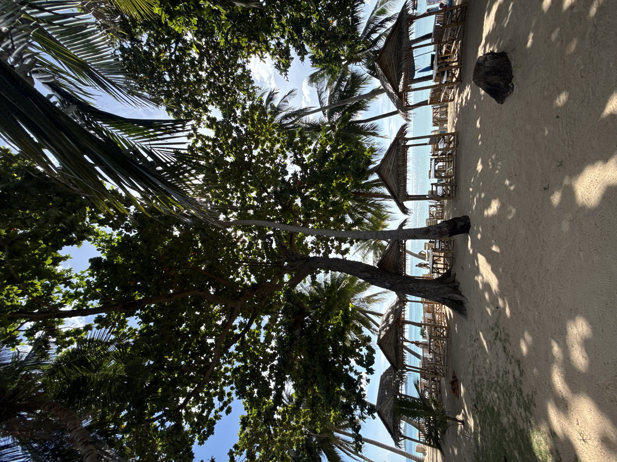 A sunny beach scene unfolds on the island of Ko Samui in Thailand. The foreground is dominated by a sandy beach with dappled shadows cast by overhead foliage. Several thatched-roof huts, furnished with wooden tables and benches, are scattered across the sand, suggesting a seating area for patrons. Beyond the huts, the turquoise waters of the sea are visible, meeting a bright blue sky dotted with a few white clouds. Palm trees and other lush green vegetation frame the scene, adding to the tropical ambiance. Two individuals are visible near the huts, one near the water's edge and another standing near a table. The image captures a serene and inviting beachside setting.