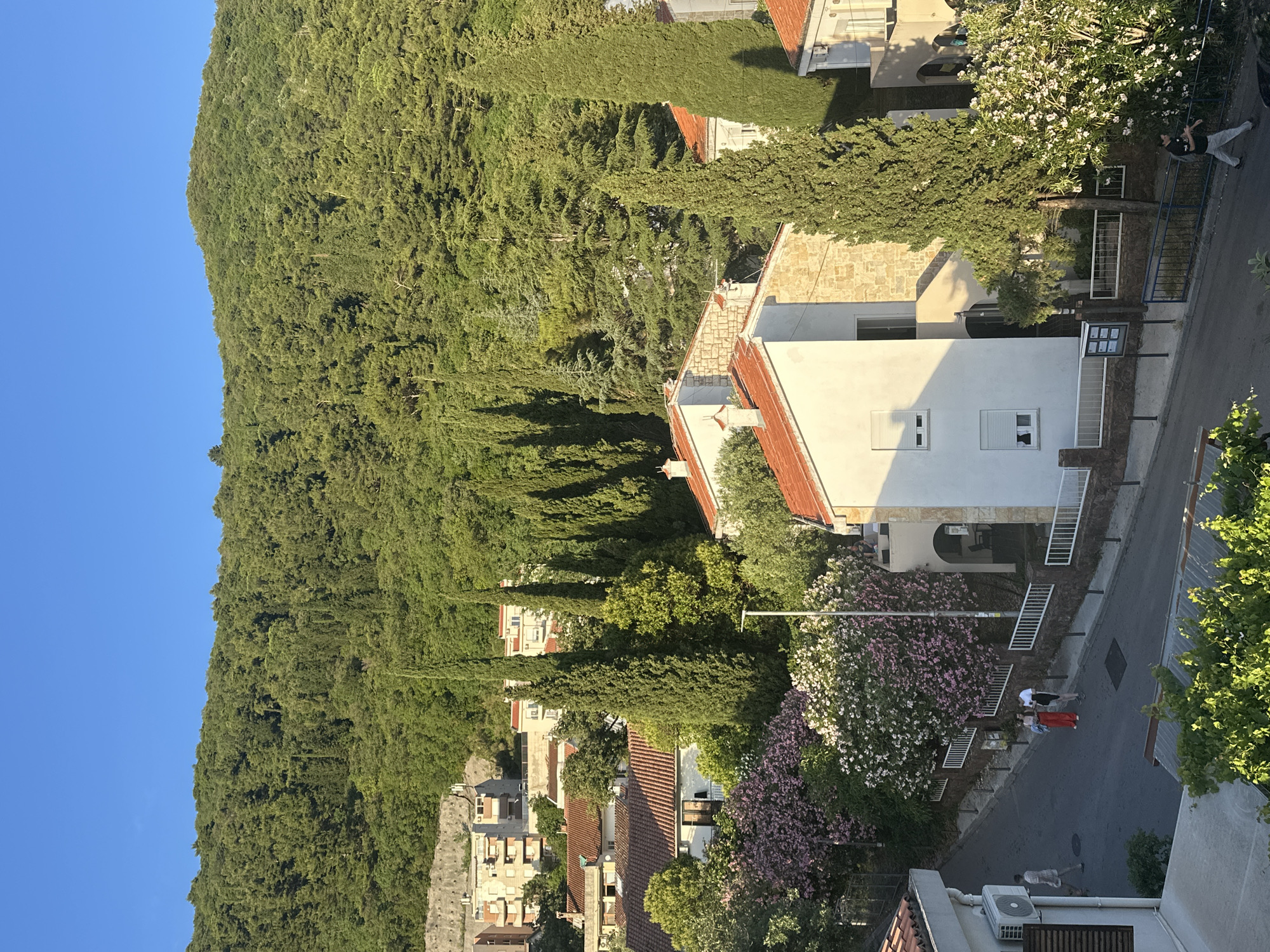 The image displays a scenic view of a residential area in Budva, Montenegro, situated against a steep, densely forested hillside. A clear blue sky forms the upper boundary, meeting the lush green canopy of the hill that descends towards the right side of the frame.
Scattered across the lower and central portions of the scene are numerous houses exhibiting traditional Mediterranean architecture. These buildings predominantly feature white or light-colored stucco facades, with some incorporating exposed stone, and are consistently topped with distinctive terracotta-tiled roofs. Tall, slender cypress trees are a prominent feature, lining properties and extending upwards into the verdant slopes of the hill.
A narrow, paved street winds through the lower right section of the image. Along its path and within the residential plots, vibrant flowering bushes, displaying both pink and white blossoms—reminiscent of oleander—add splashes of color to the landscape. White railings and fences are visible, serving to demarcate properties and accompany outdoor staircases.
Several people are present on the street, indicating everyday activity. One individual, dressed in a dark top and light trousers, walks near a fence on the right. Further along, a small group of two or three people, including one wearing red pants, can be observed. Another person is located towards the bottom, near an external air conditioning unit on a building.
The bright illumination and distinct shadows cast by the buildings and trees suggest clear, sunny weather, likely in the late afternoon or early morning. The overall impression is that of a picturesque Mediterranean settlement, characterized by the harmonious blend of natural greenery, traditional architecture, and a peaceful residential environment. No discernible text is visible within the image.