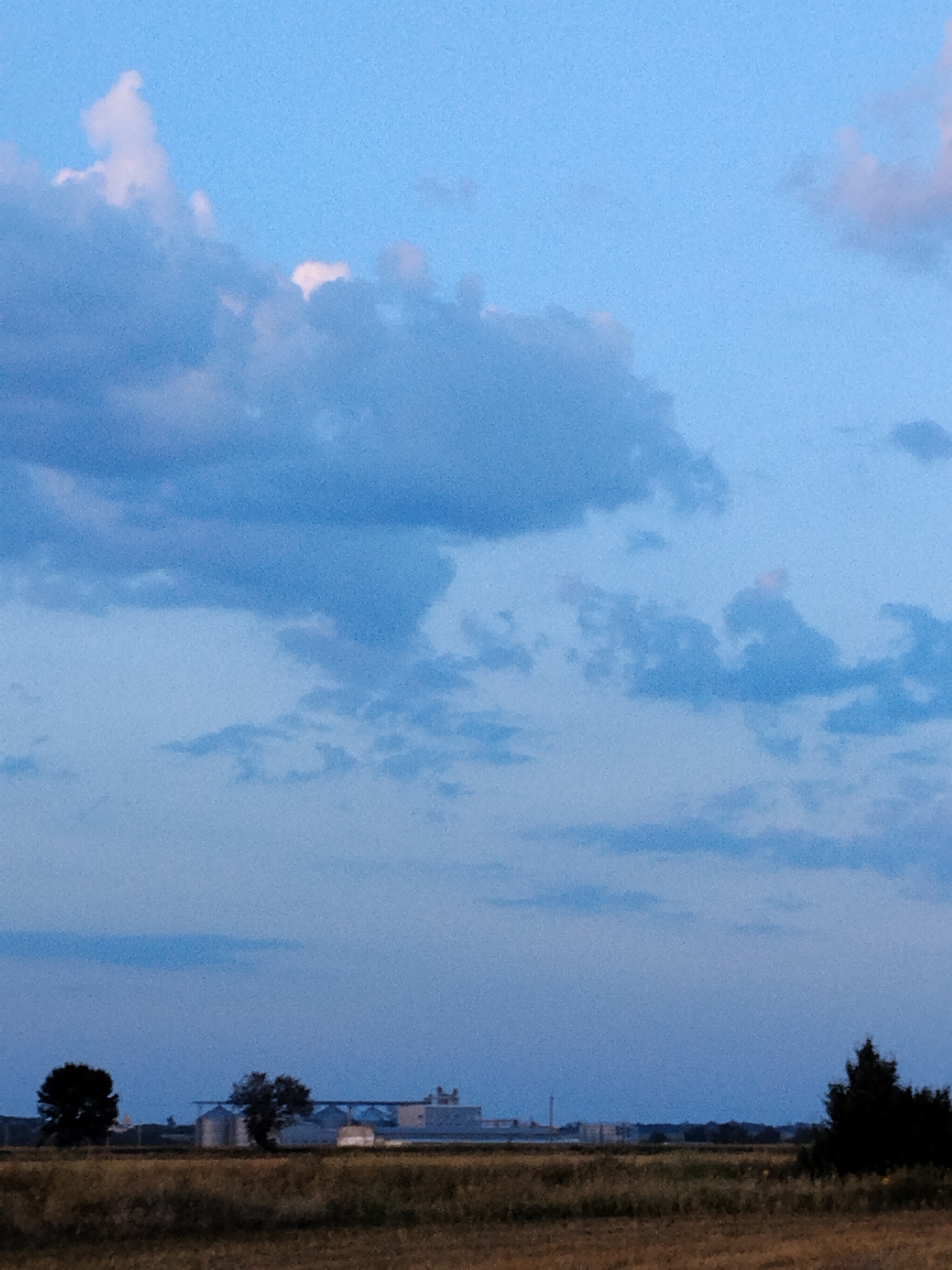 This image captures a rural landscape under a twilight sky, suggesting it is located in Dakalivka, Ukraine. The sky is a gradient of pale blues and grays, with scattered clouds, some tinged with pink from the fading sunlight. The horizon is defined by a flat, open field of dry, golden-brown grass. In the middle ground, a cluster of industrial buildings, possibly grain silos, are visible, appearing as a series of cylindrical structures and connected rectangular units. To the left of the silos, a single, dark, leafy tree stands silhouetted. Further to the right, a dense, dark evergreen tree is positioned on the far right edge of the frame. The overall impression is one of serene twilight in a rural, agricultural setting.