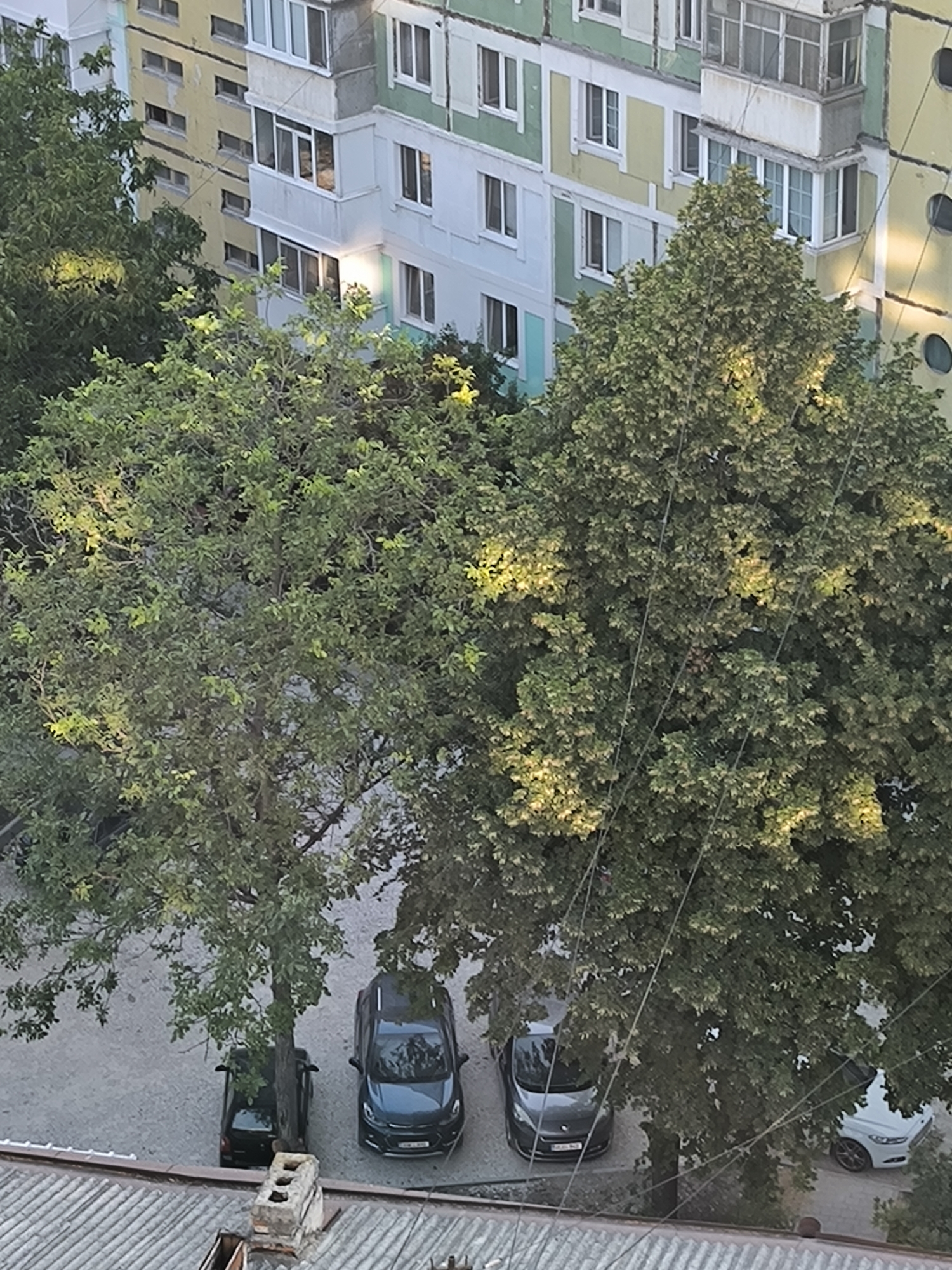 The image captures an outdoor scene in Chisinau, Moldova, likely a residential area. In the foreground, a grey tiled roof and a brick chimney are visible, suggesting a building or structure at a lower elevation. Above this, several cars are parked on a paved surface. One dark-colored car is positioned directly beneath a large tree, with its trunk passing through the rear of the vehicle. To its right, another dark SUV is parked. Further to the right, a lighter-colored car is partially obscured by foliage. Dominating the background is a multi-story apartment building with a facade painted in various colors, including yellow, light blue, and green, with white trim around the windows and balconies. Lush green trees are situated in front of the building, casting shadows and partially obscuring the lower floors. The overall impression is a typical urban environment with residential buildings, parked vehicles, and mature trees.