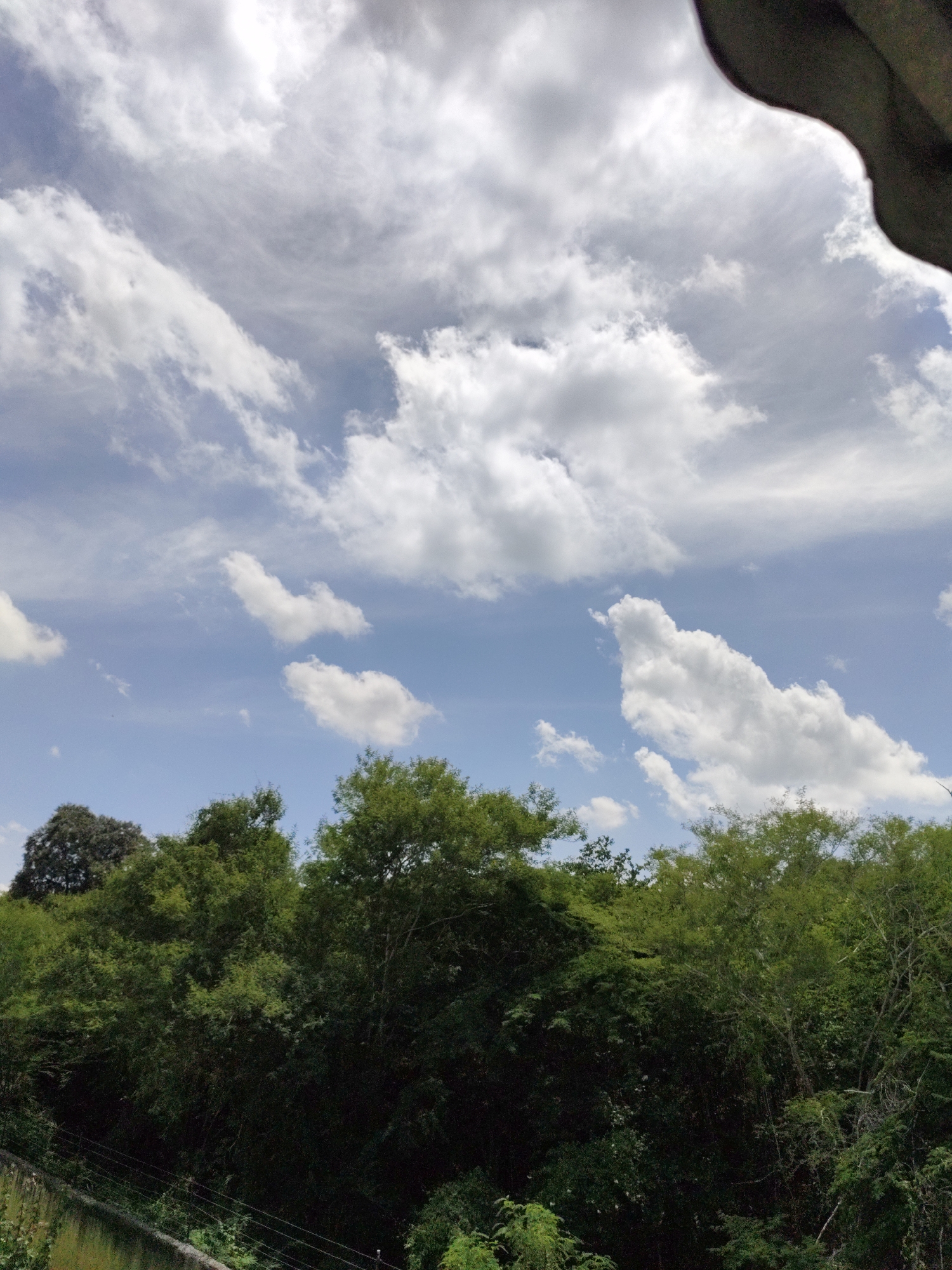A landscape photograph depicts a verdant forest canopy against a bright blue sky filled with white, fluffy clouds and wispy cirrus formations. The foreground is dominated by a dense mass of green foliage, with various tree types visible, their leaves and branches creating a textured, layered effect. A weathered concrete wall or structure runs along the bottom left of the frame, with thin wires or cables strung across it. The upper right corner of the image shows a dark, curved shadow, suggesting an overhang or roofline. The scene appears to be set in an outdoor natural environment, likely within or on the outskirts of Piloncito, Venezuela. There are no people or animals visible in the image.