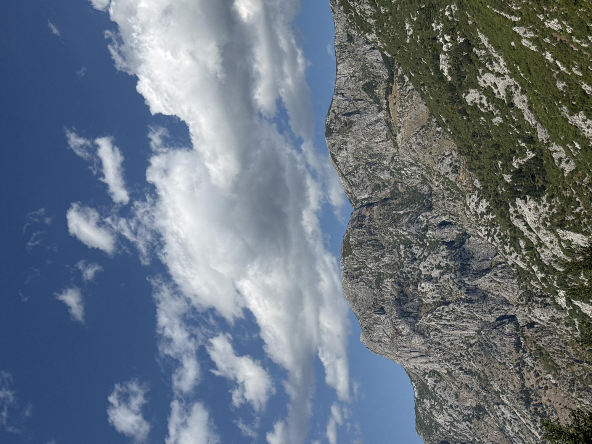 The image shows a dramatic mountain landscape under a bright blue sky with scattered white clouds. The mountains are rugged and rocky, with steep slopes covered in sparse vegetation. In the foreground, the lower slopes are densely covered with green trees and bushes, interspersed with large grey rocks. As the mountains rise, the vegetation thins out, revealing the bare, grey rock faces characteristic of a mountainous terrain. The sky above is a vibrant blue, with fluffy white clouds drifting across it, some catching the sunlight and appearing brilliant white, while others are tinged with grey from shadows. The overall impression is one of a wild, natural environment, likely in a coastal mountain range. The specific location is the mountains above Škaljari, Montenegro, a town known for its proximity to the Bay of Kotor and its steep, mountainous surroundings.